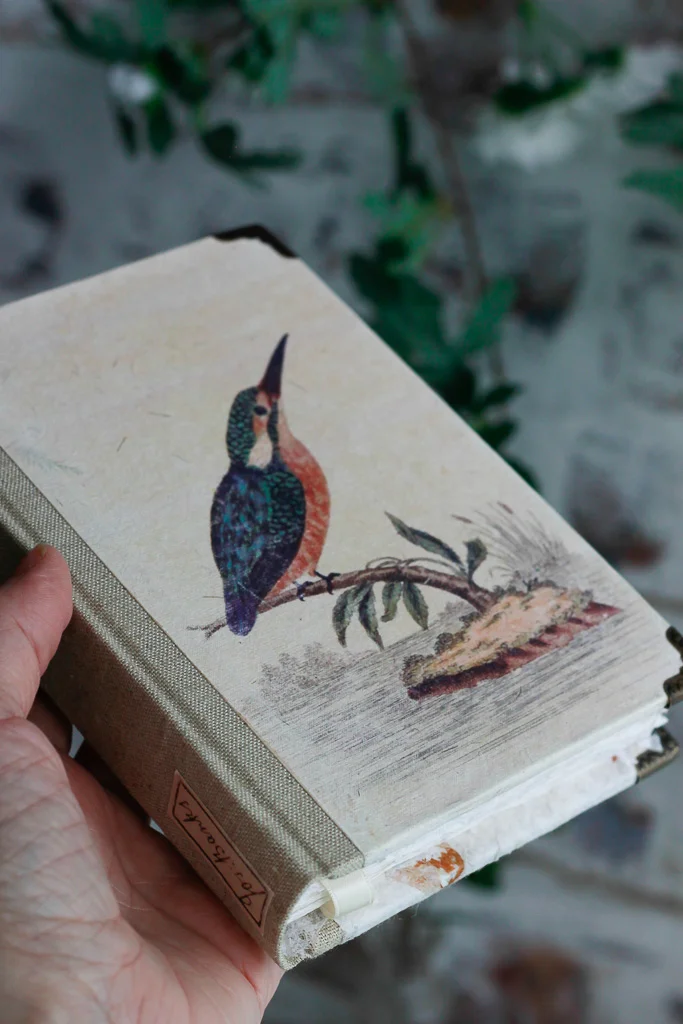 ornithology-art-journals (16 of 37).jpg