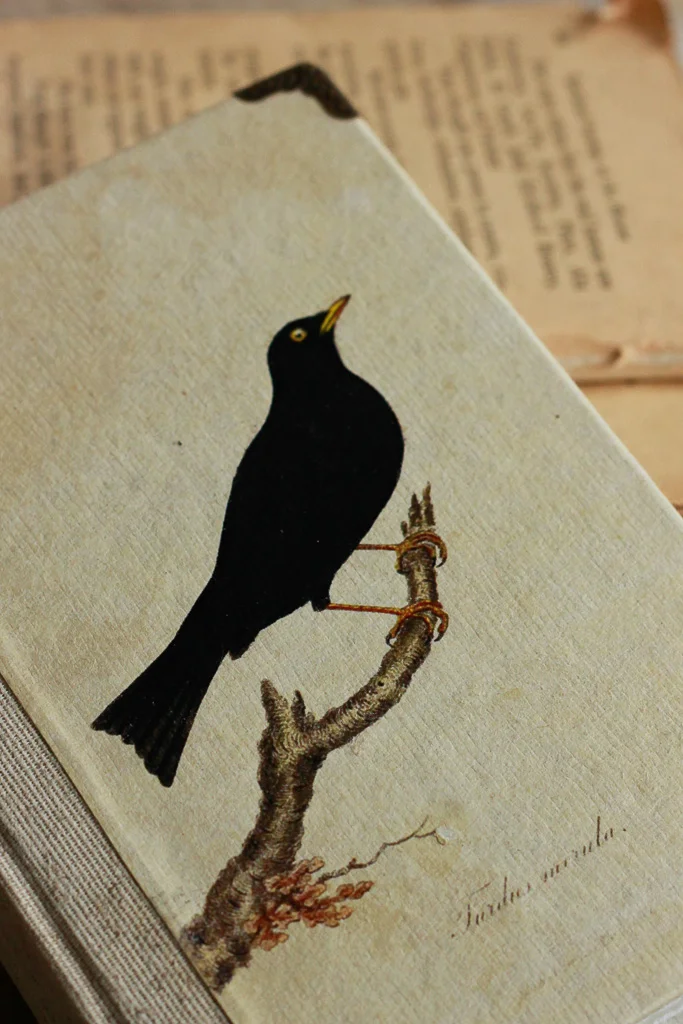 ornithology-watercolour-journals (3 of 10).jpg
