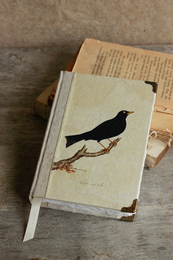 ornithology-watercolour-journals (5 of 10).jpg
