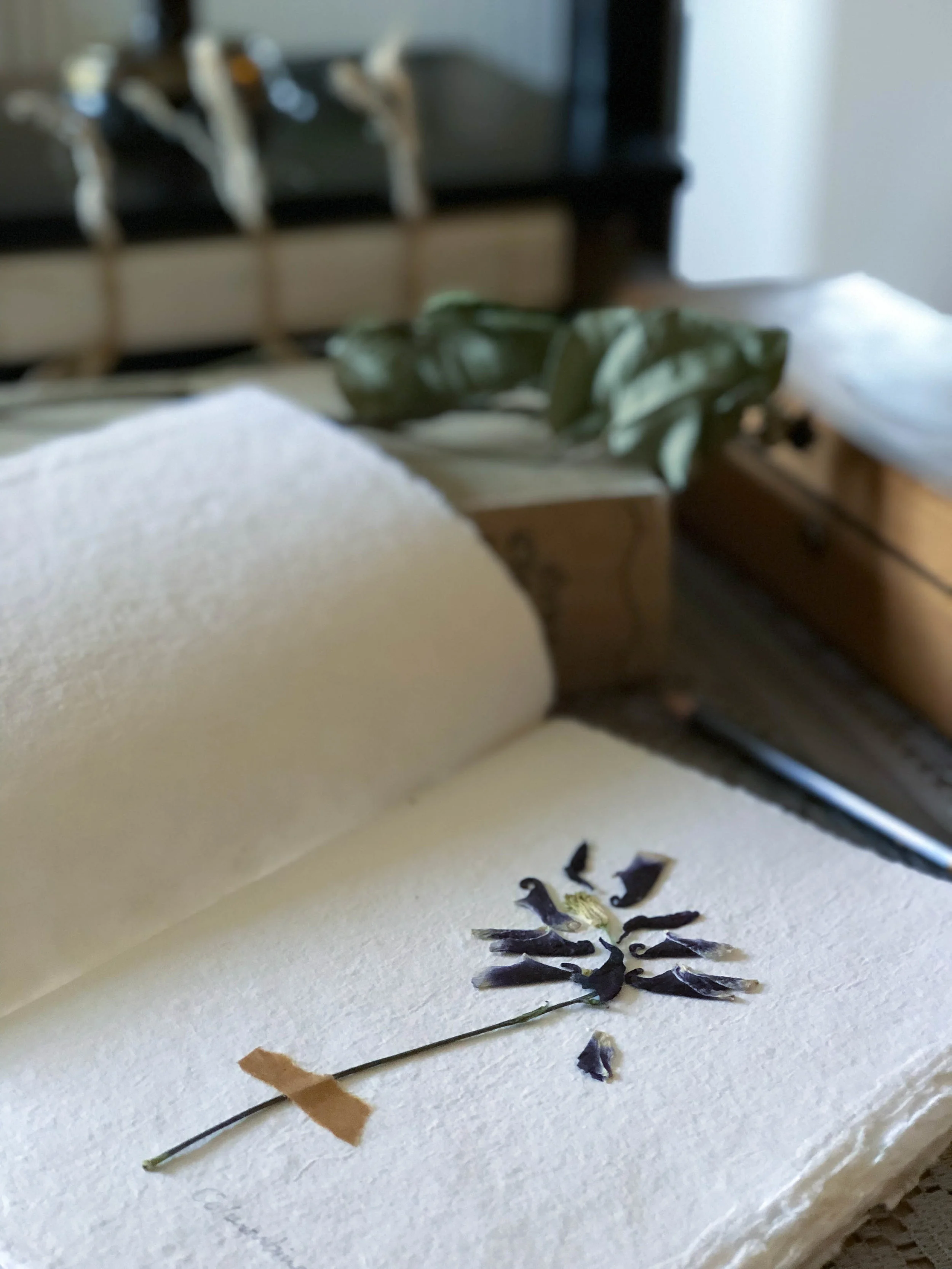 pressed-flower-journal-1.jpg