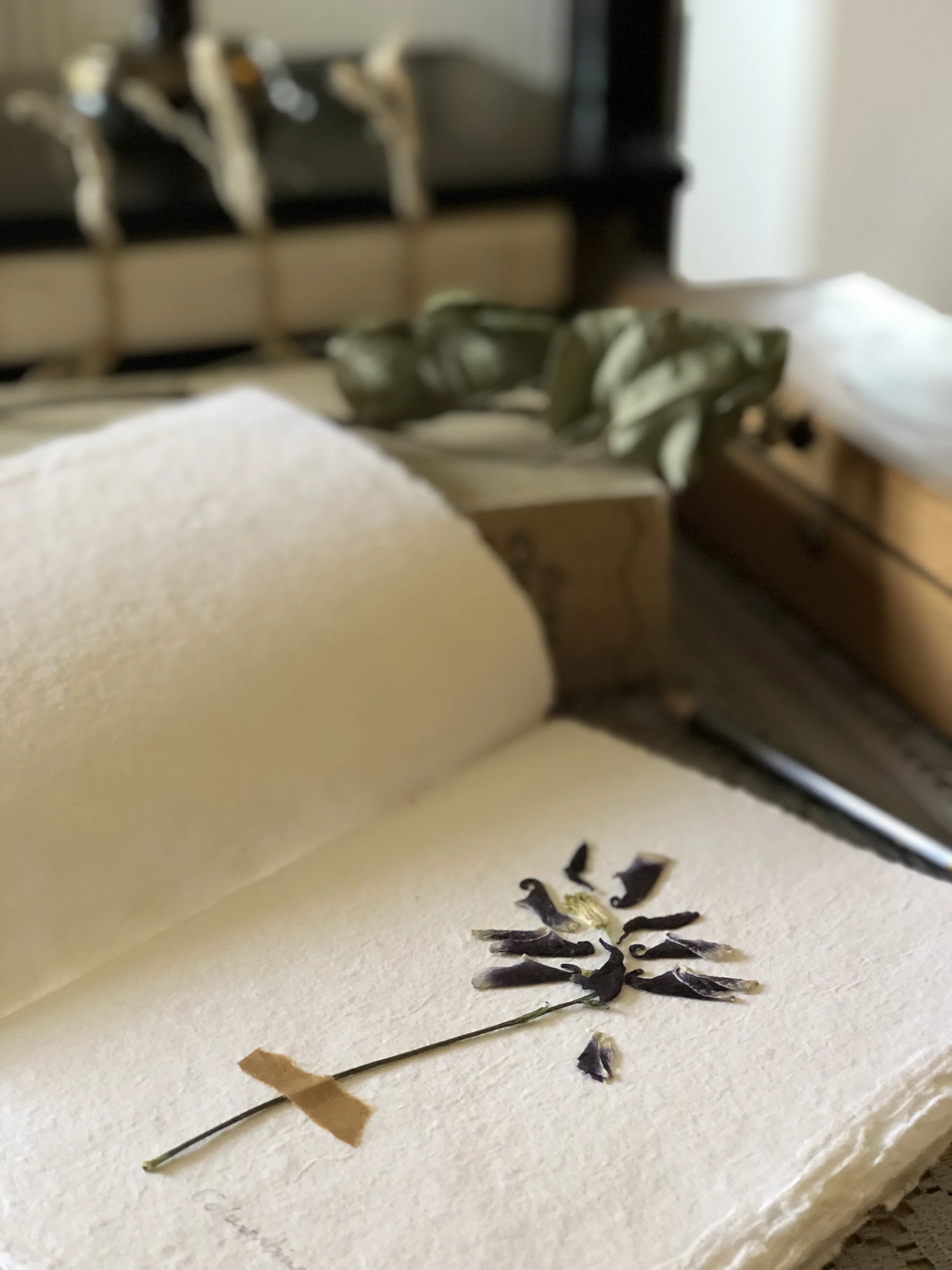 pressed-flower-journal.jpg