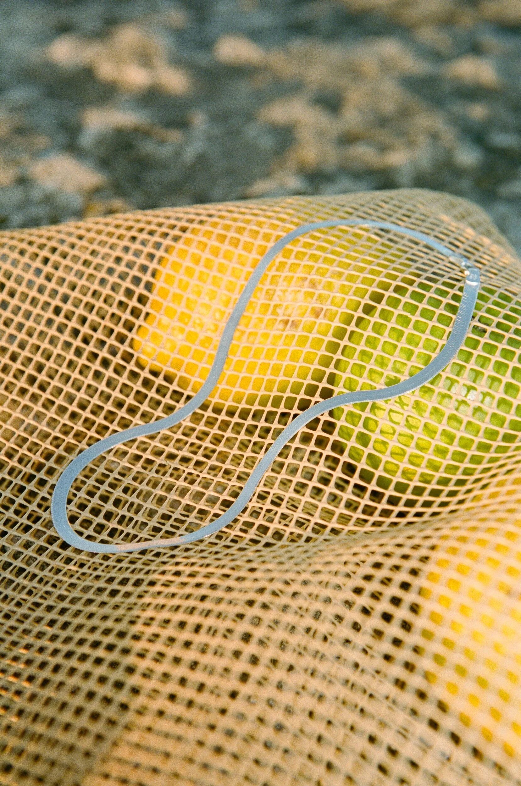 F062564D-3C2A-441B-ACDF-9EB491985B05