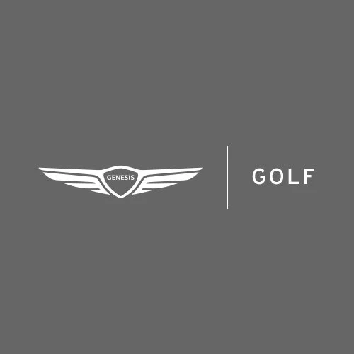 work_thumbs_2022_0020_g_golf.jpg
