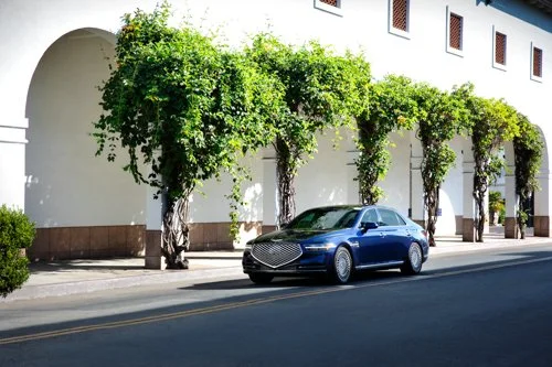 MY20_HI_0175-6720x4480-ef7eb9f.jpeg