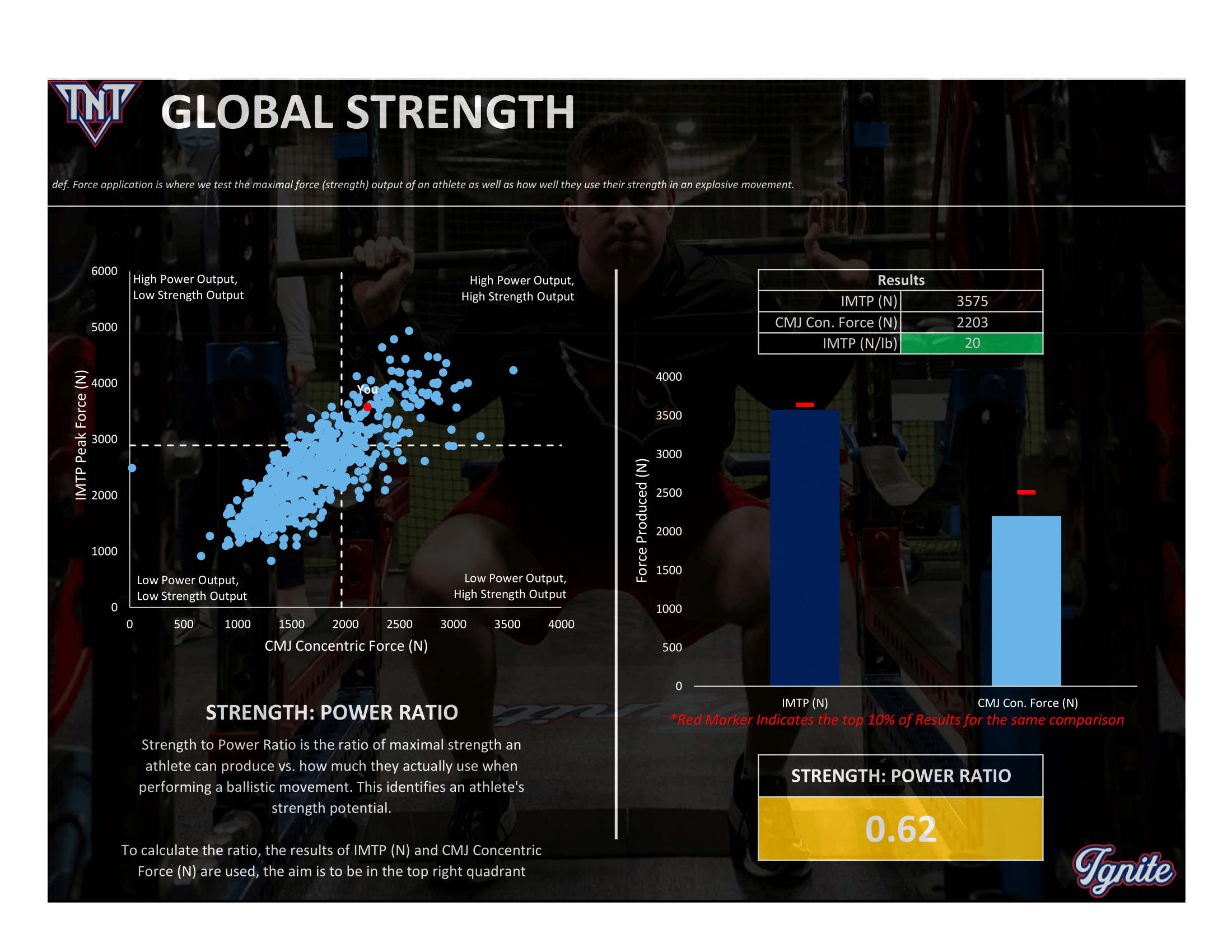 TNT Tom Nelson Training | Speed Training | Training for Athletes ...