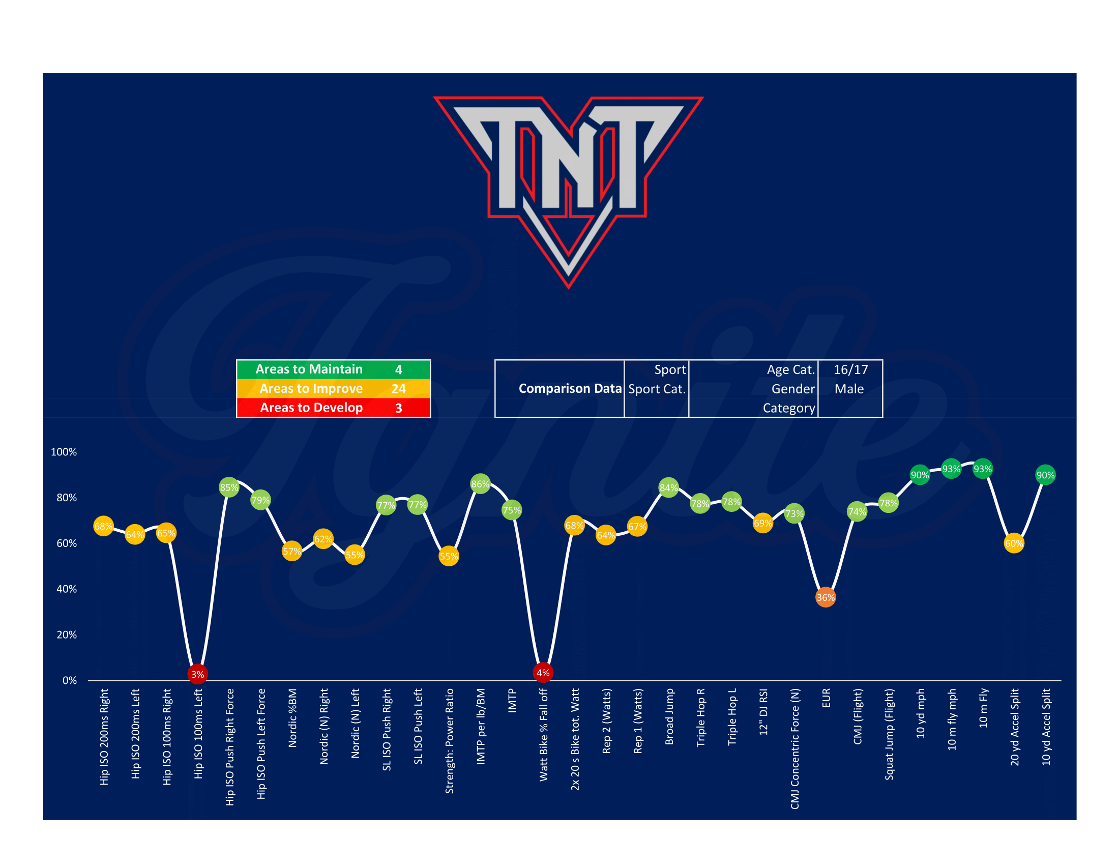 Profile Report (1)-1.png