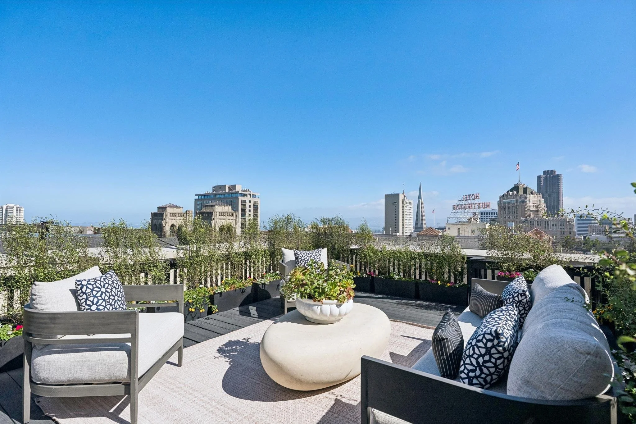 1177-california-roof-deck-no-rail.jpg