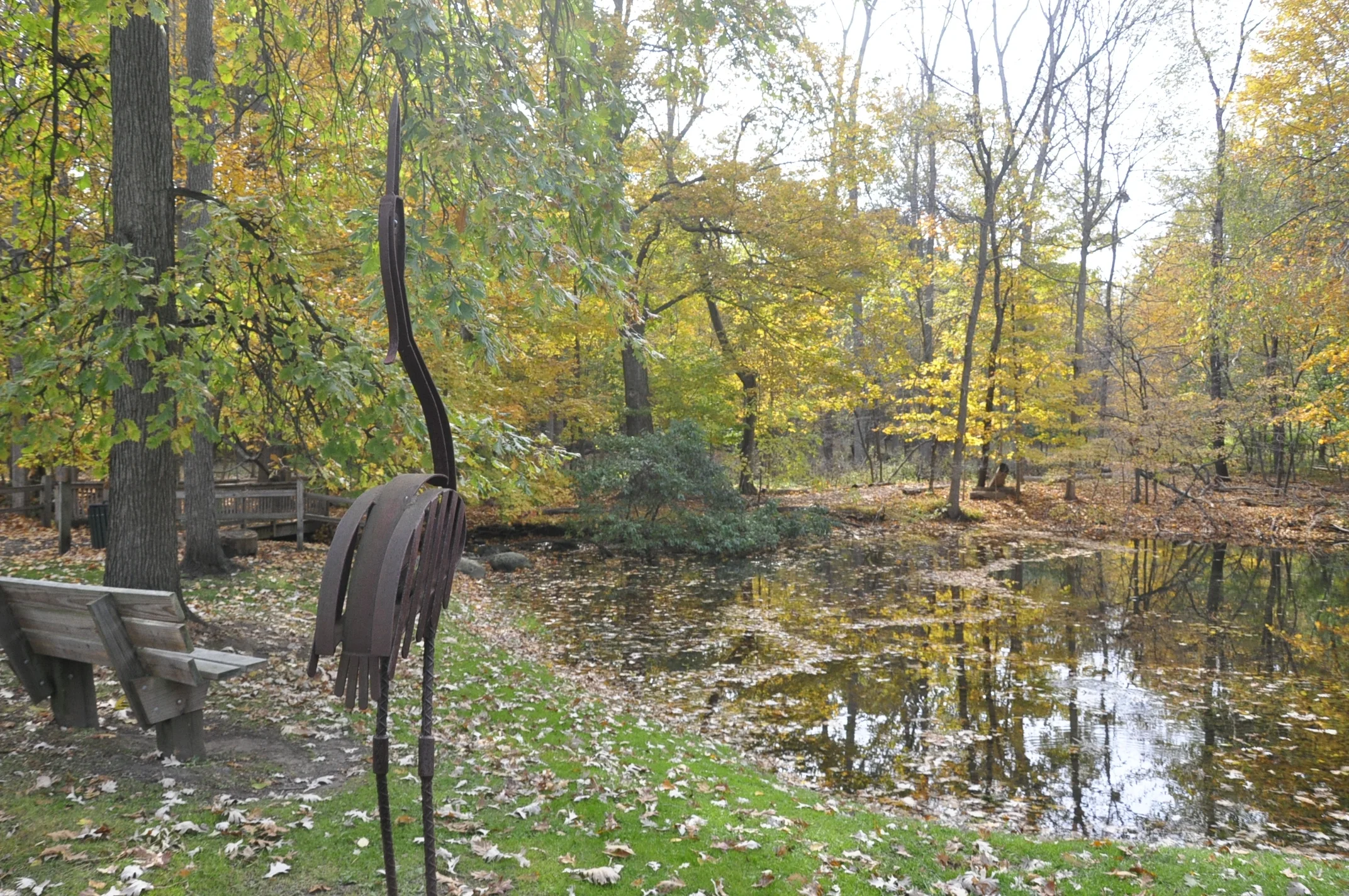 SNC Headwaters Rouge River Pond .JPG
