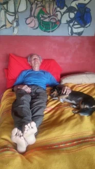 Chuck and Chico napping.