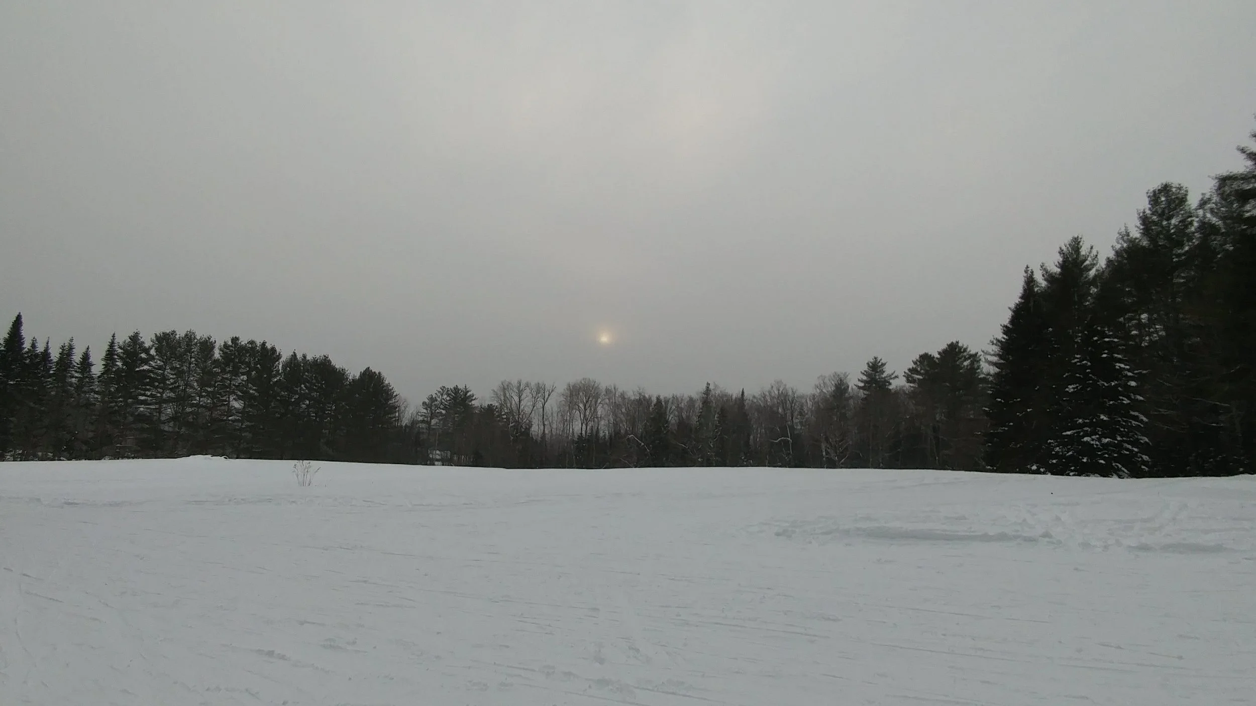 1230171515a.jpg