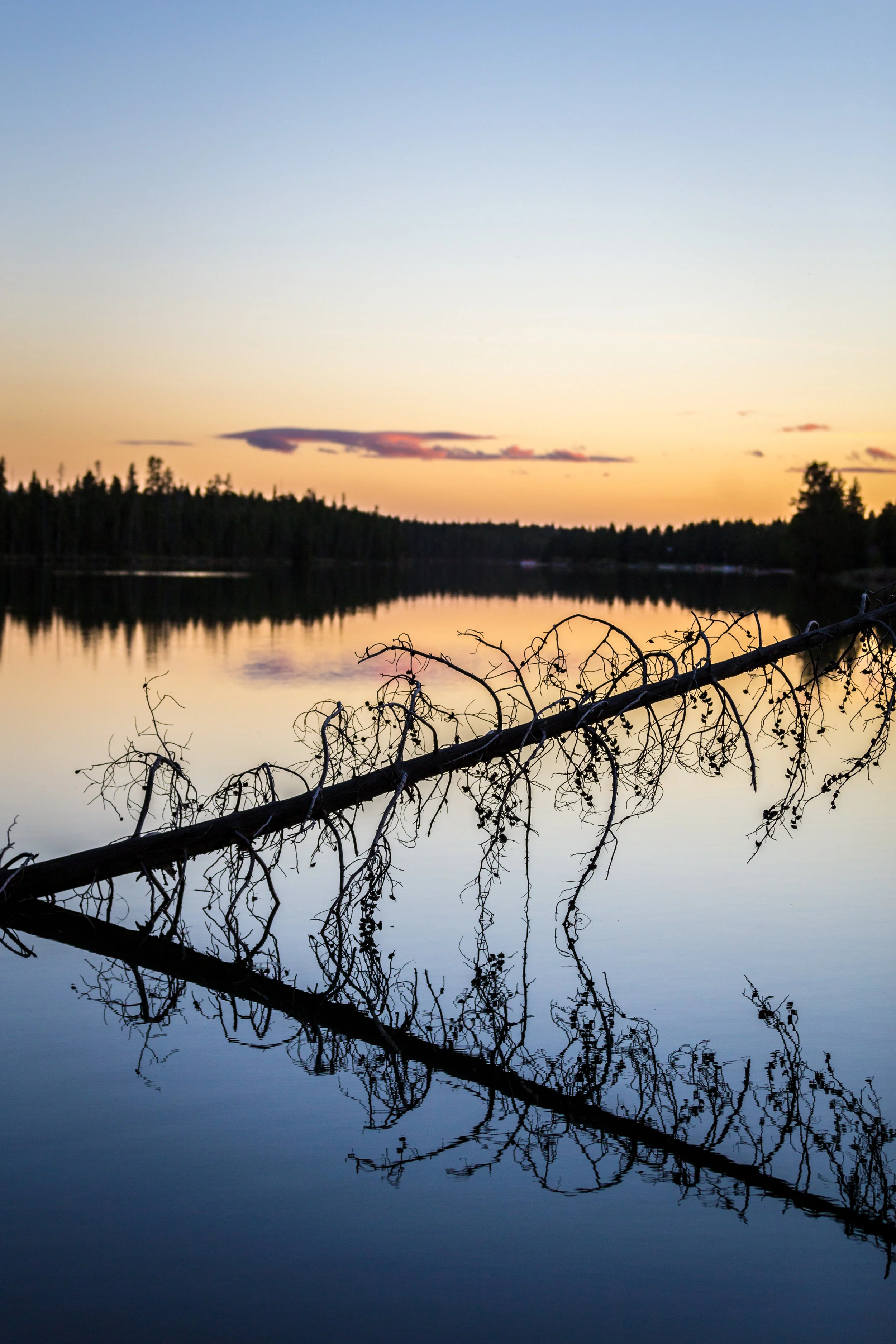 _MG_8026.jpg
