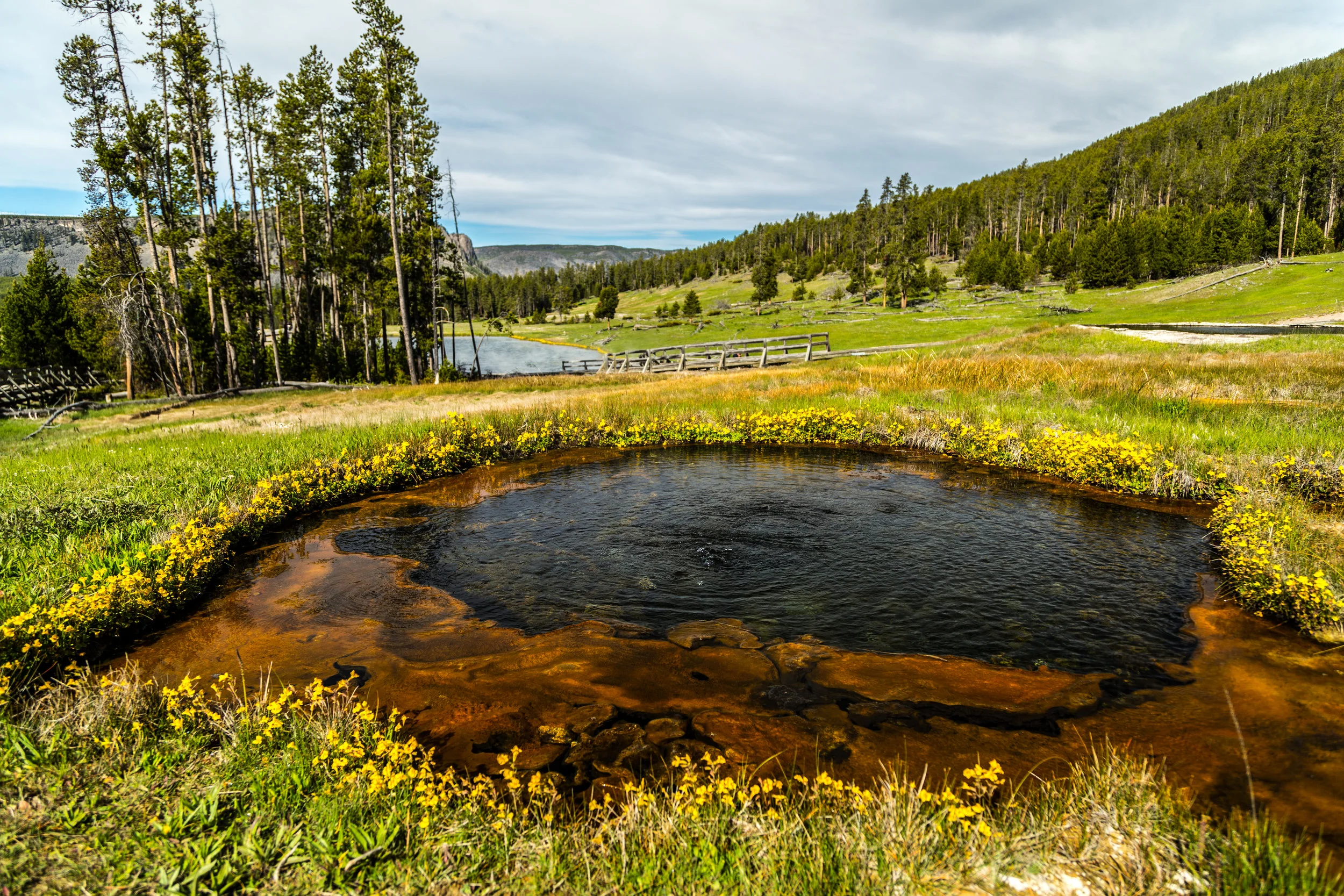 _MG_7771.jpg