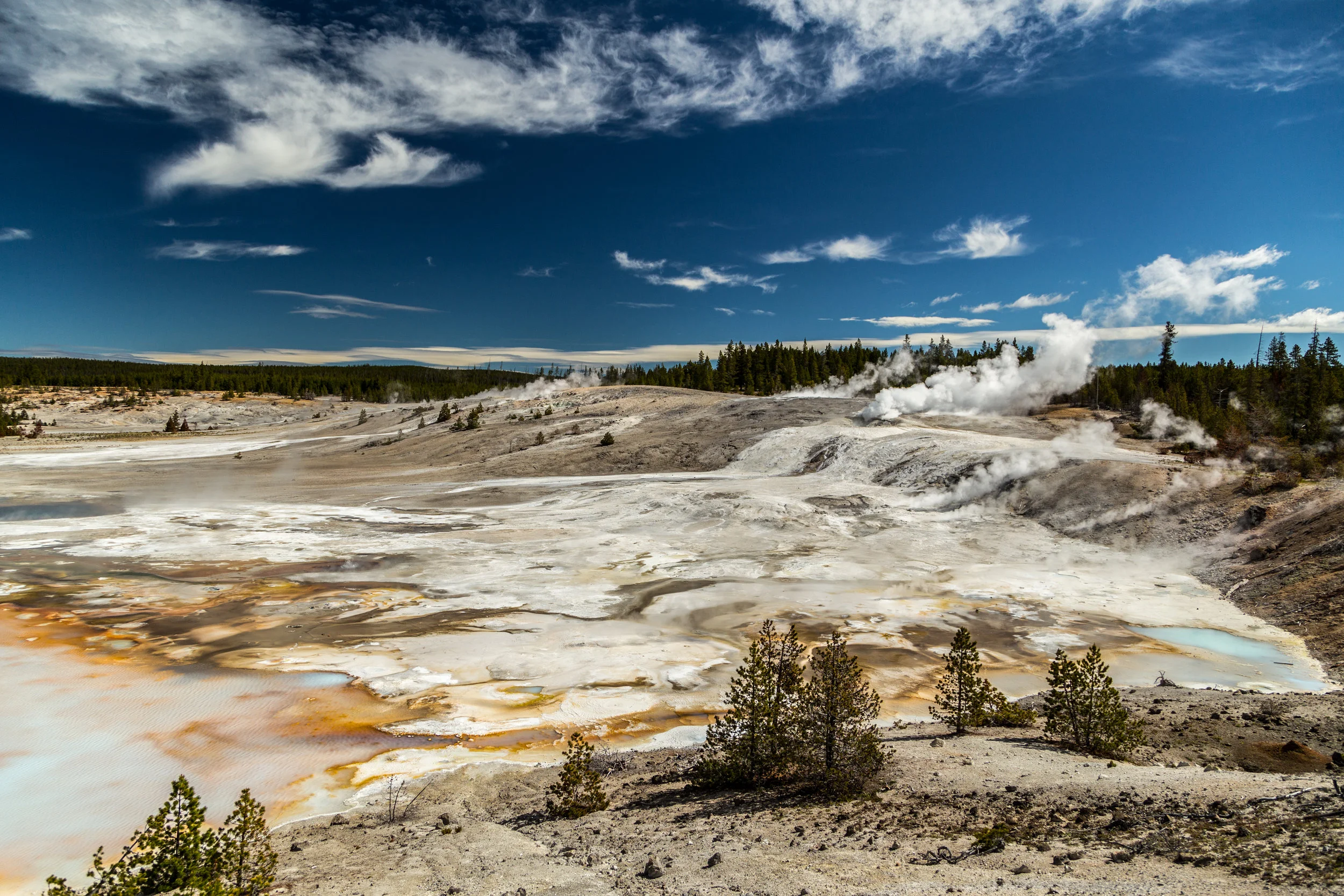 _MG_7792.jpg
