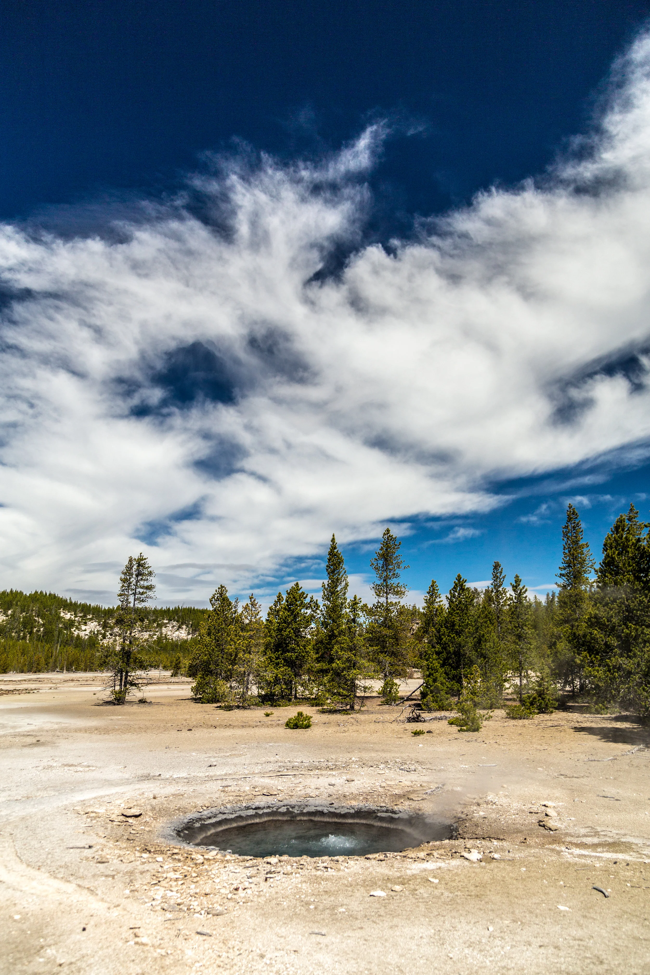 _MG_7829.jpg