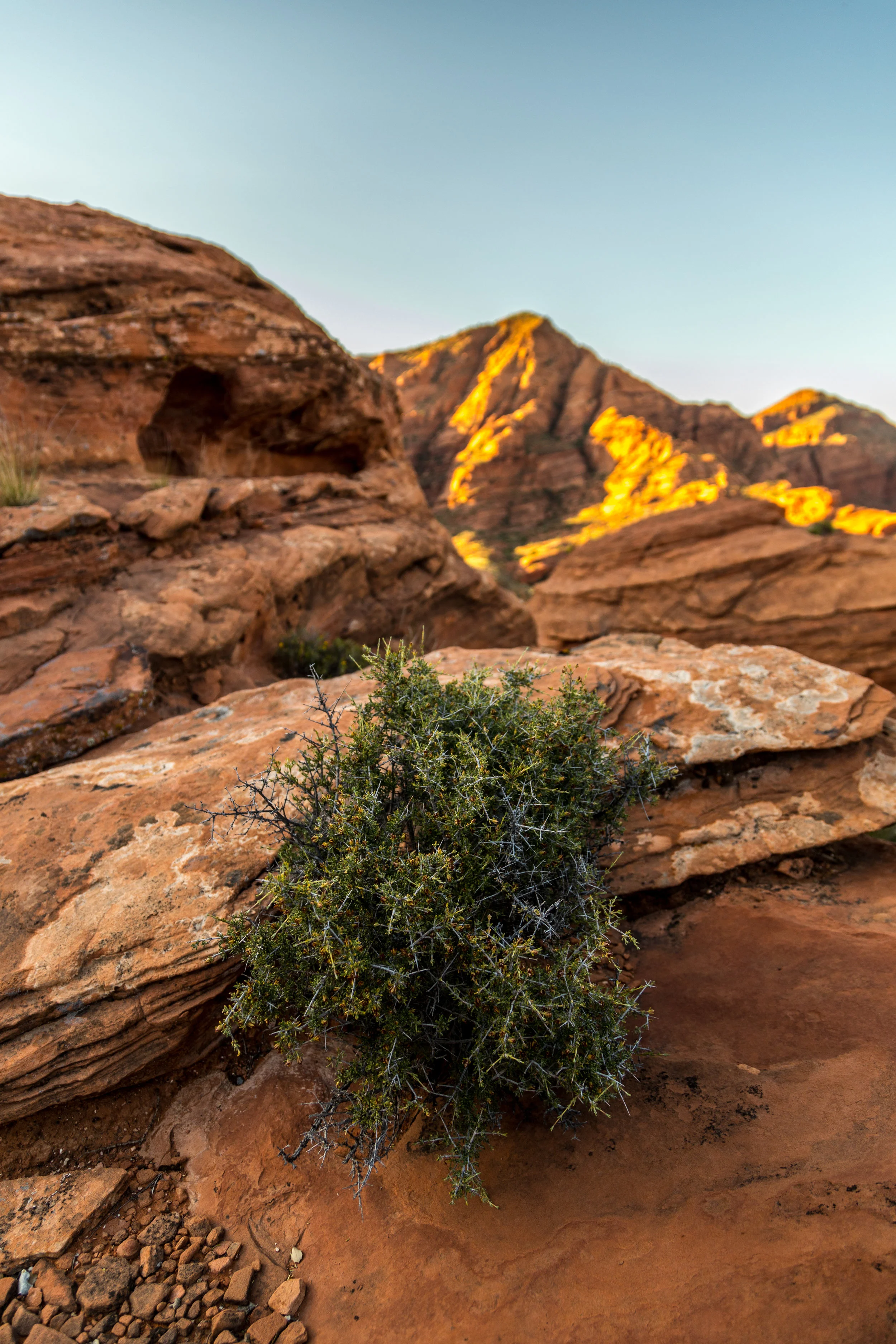 _MG_7573.jpg