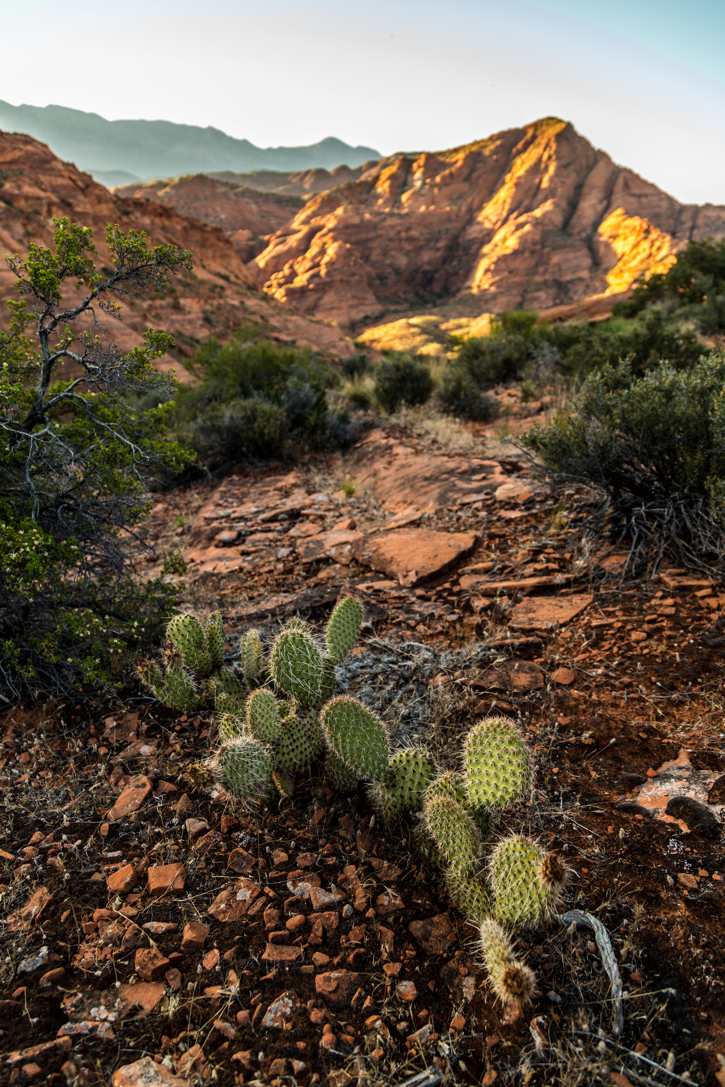 _MG_7571.jpg