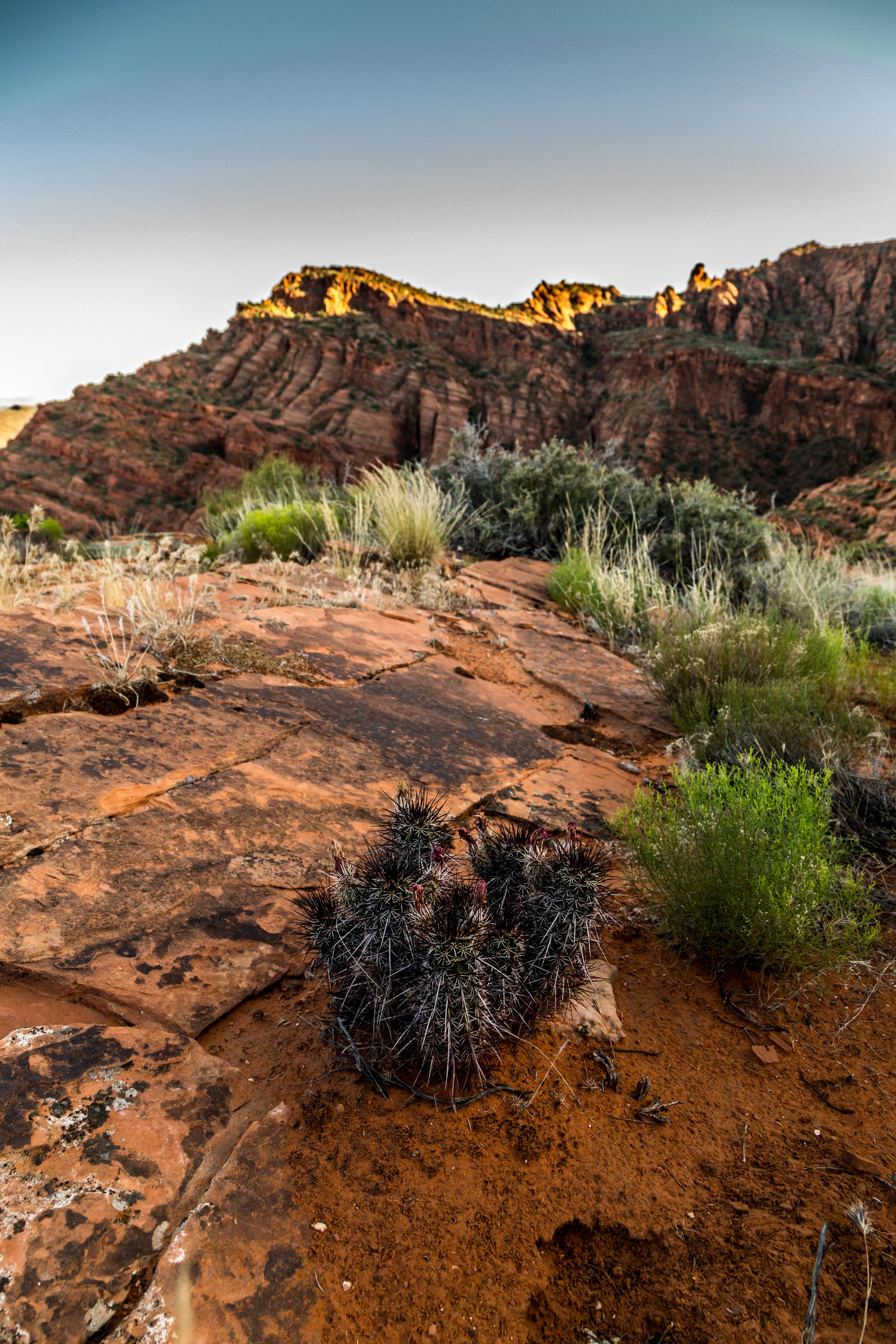 _MG_7547.jpg
