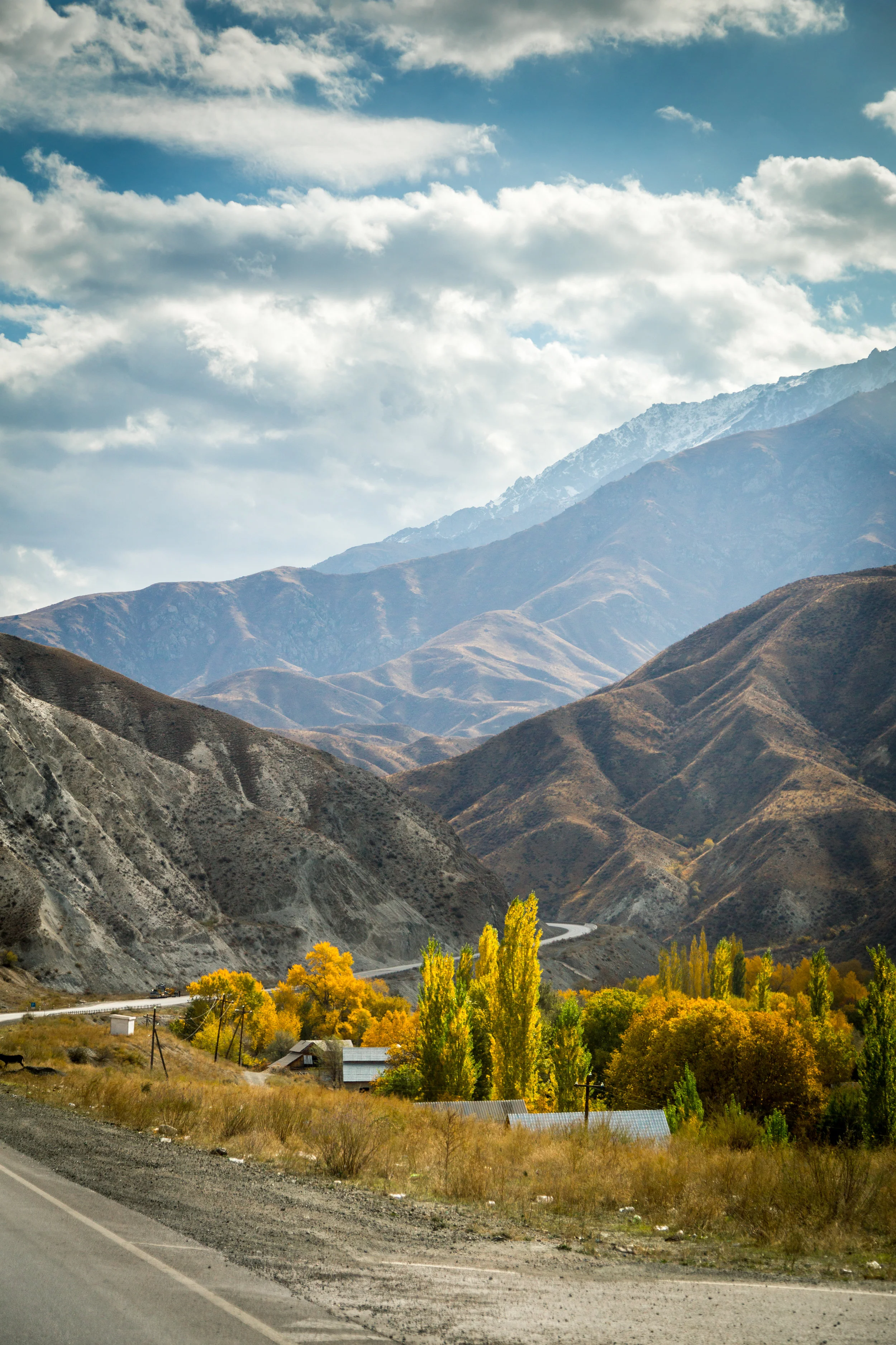 _MG_3609.jpg