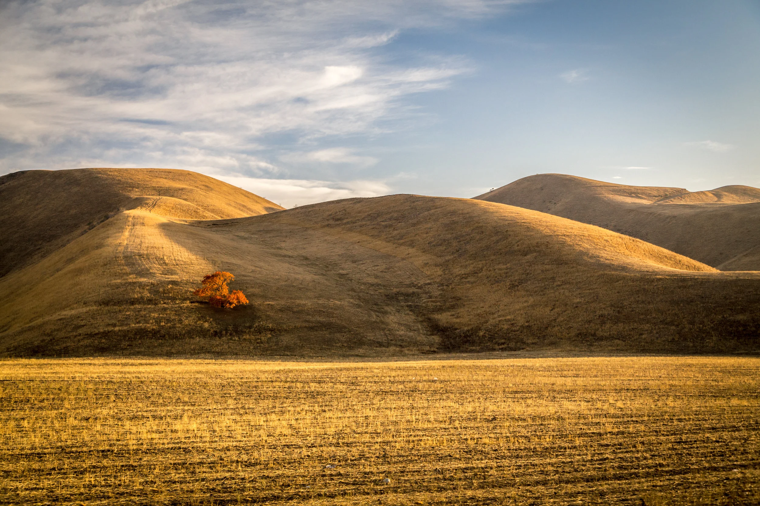_MG_3518.jpg