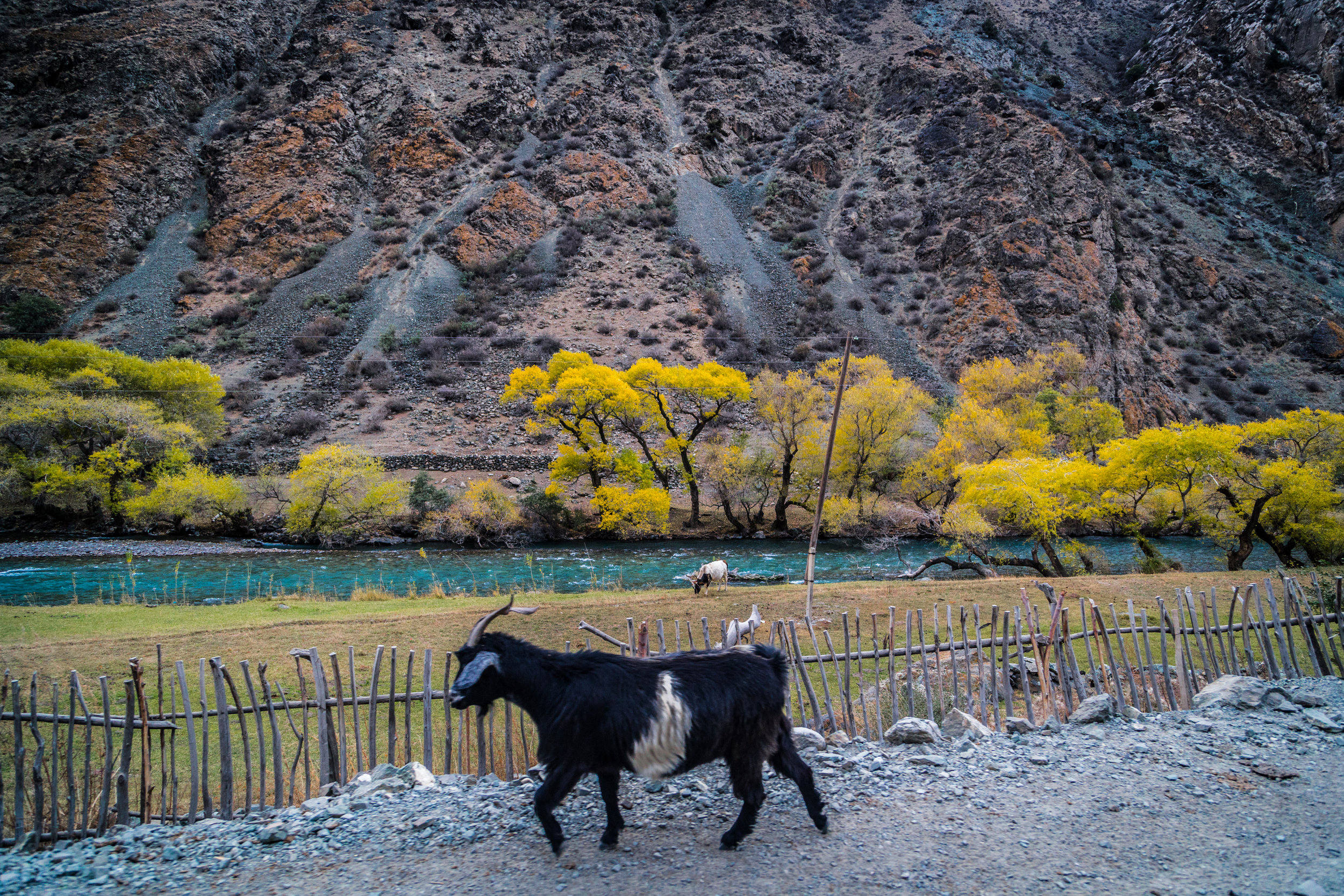 _MG_3483.jpg