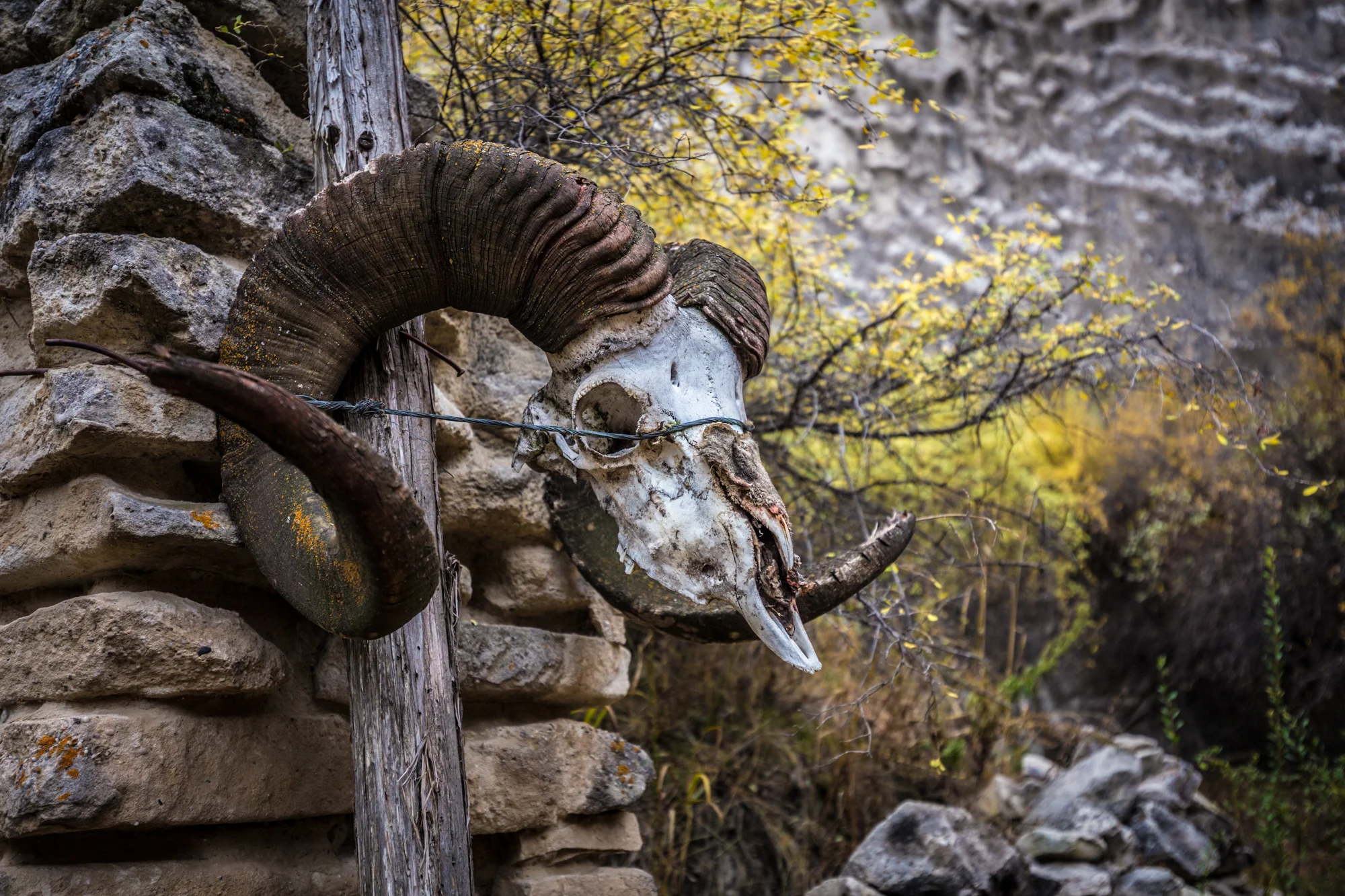 _MG_3375.jpg