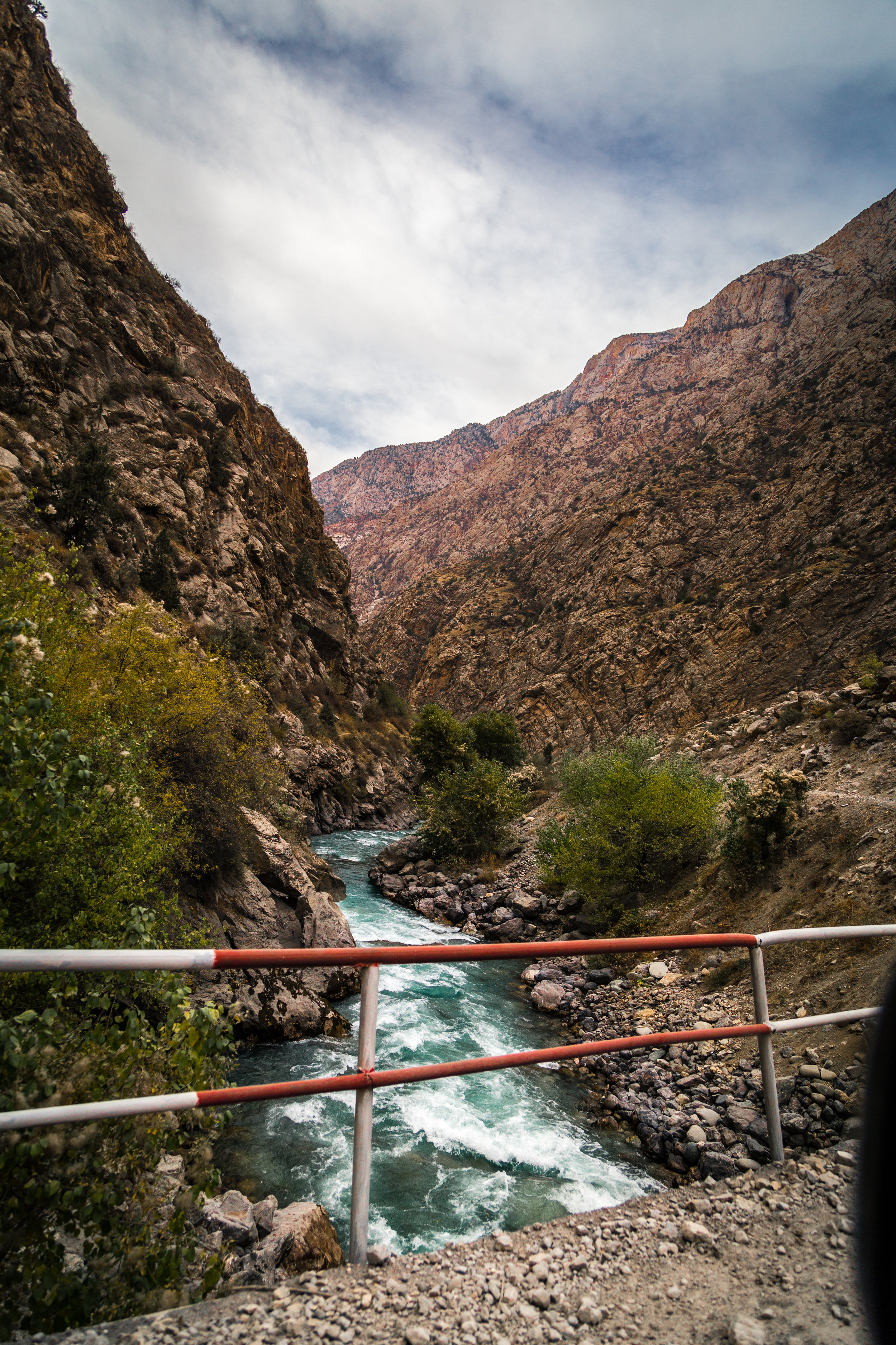 _MG_3495.jpg