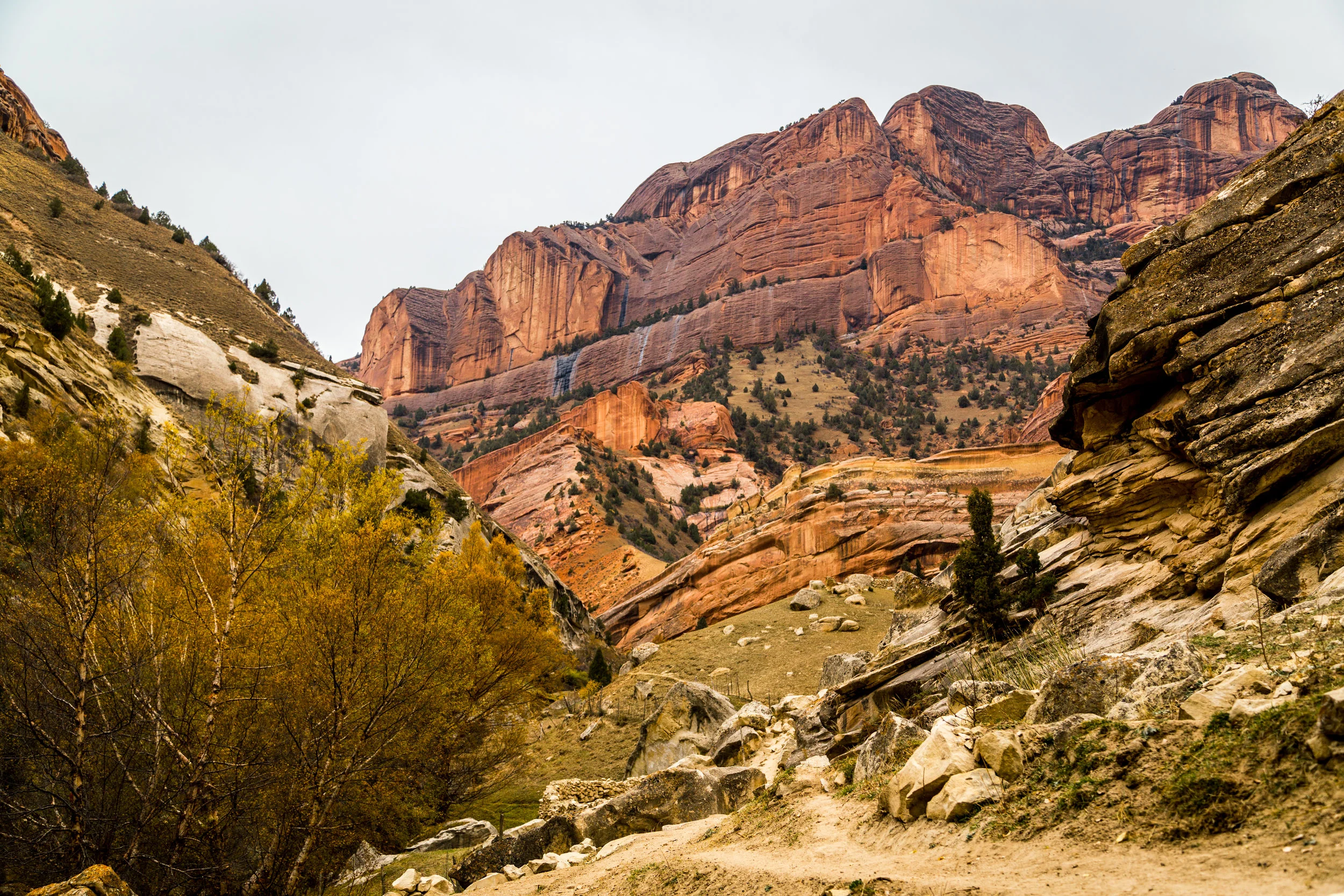 _MG_3299.jpg