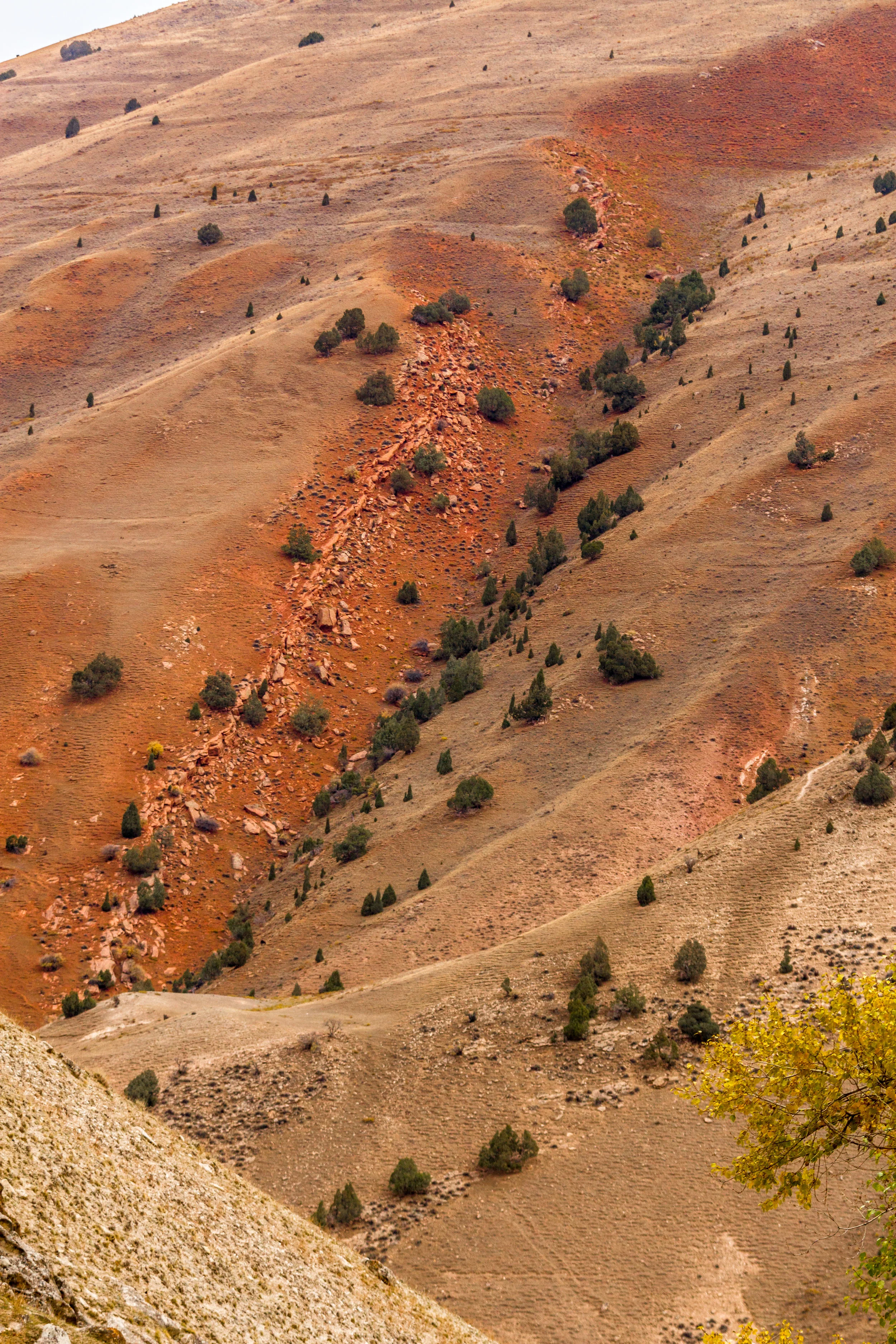 _MG_9538.jpg