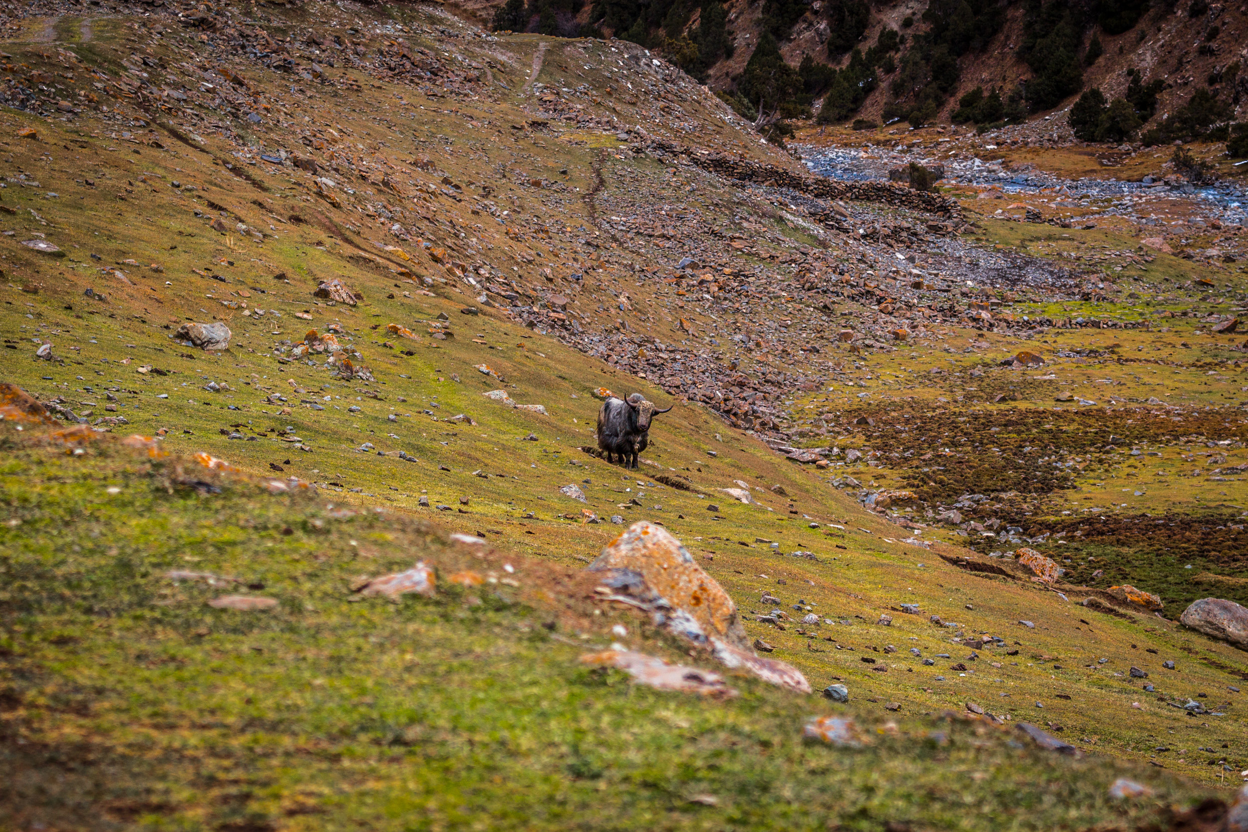 _MG_9444.jpg