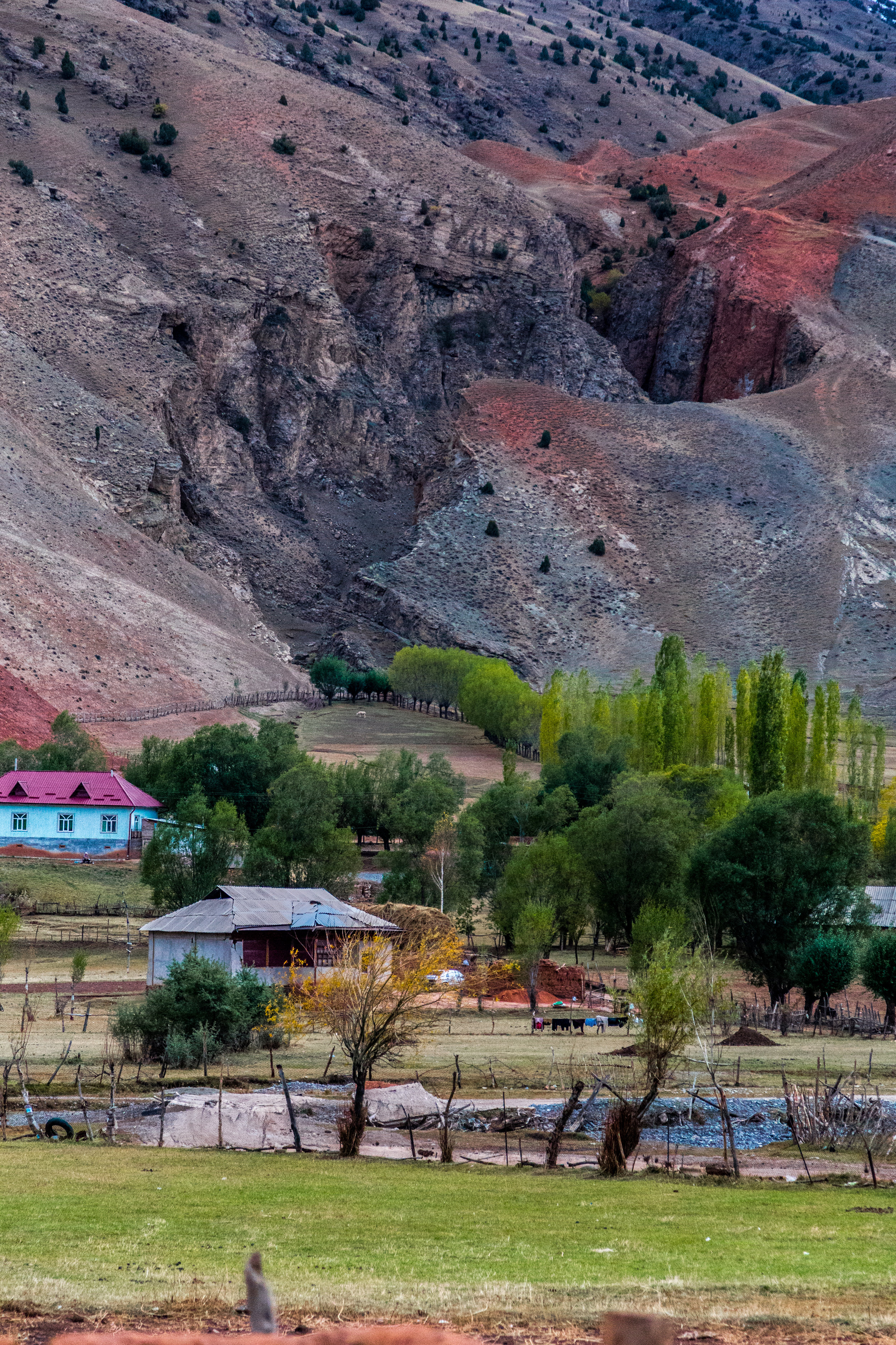 _MG_2996.jpg