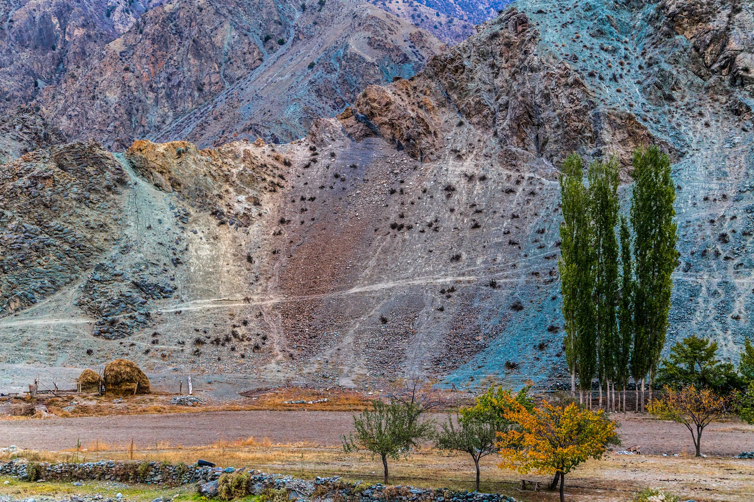 _MG_2917.jpg