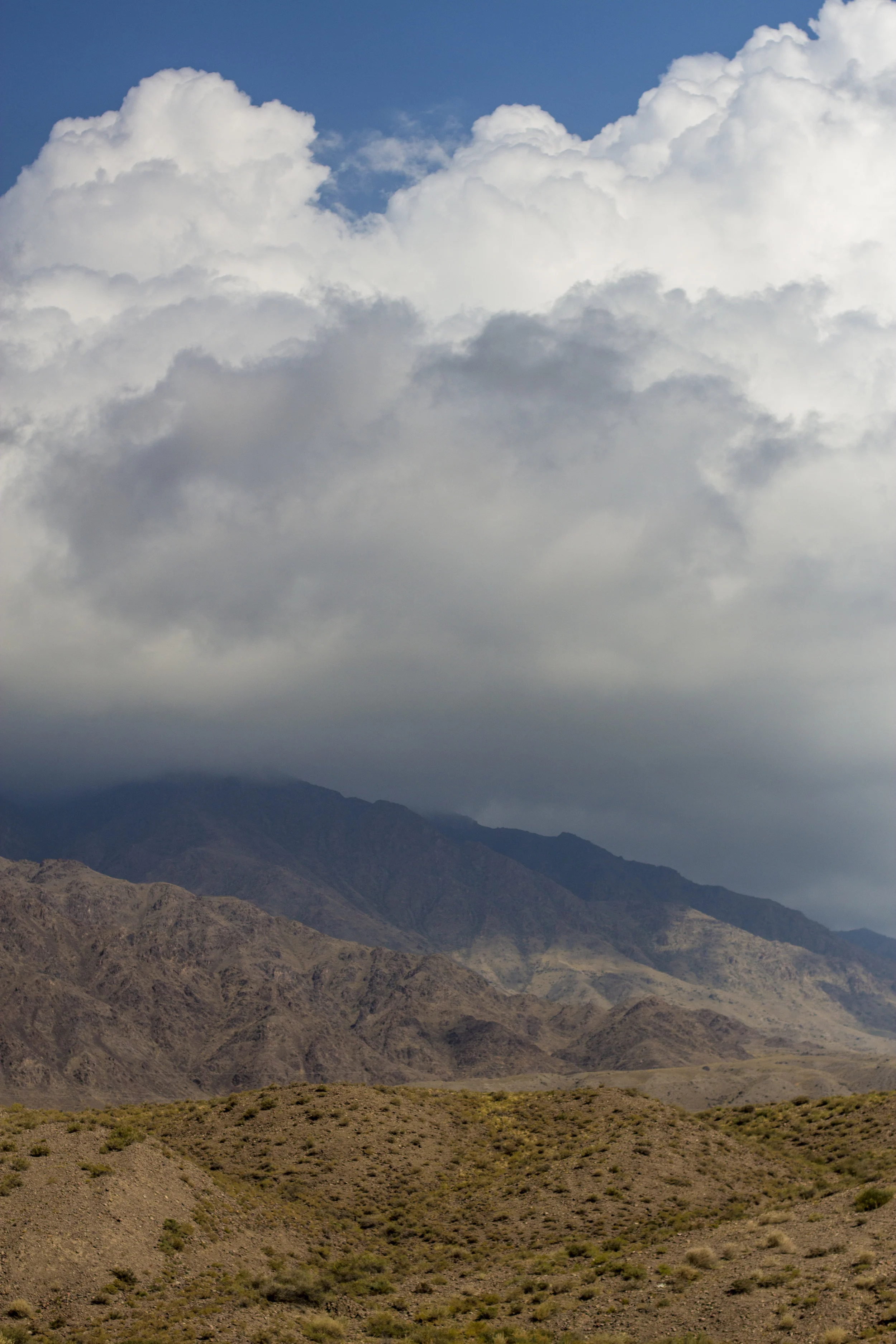 _MG_5260.jpg