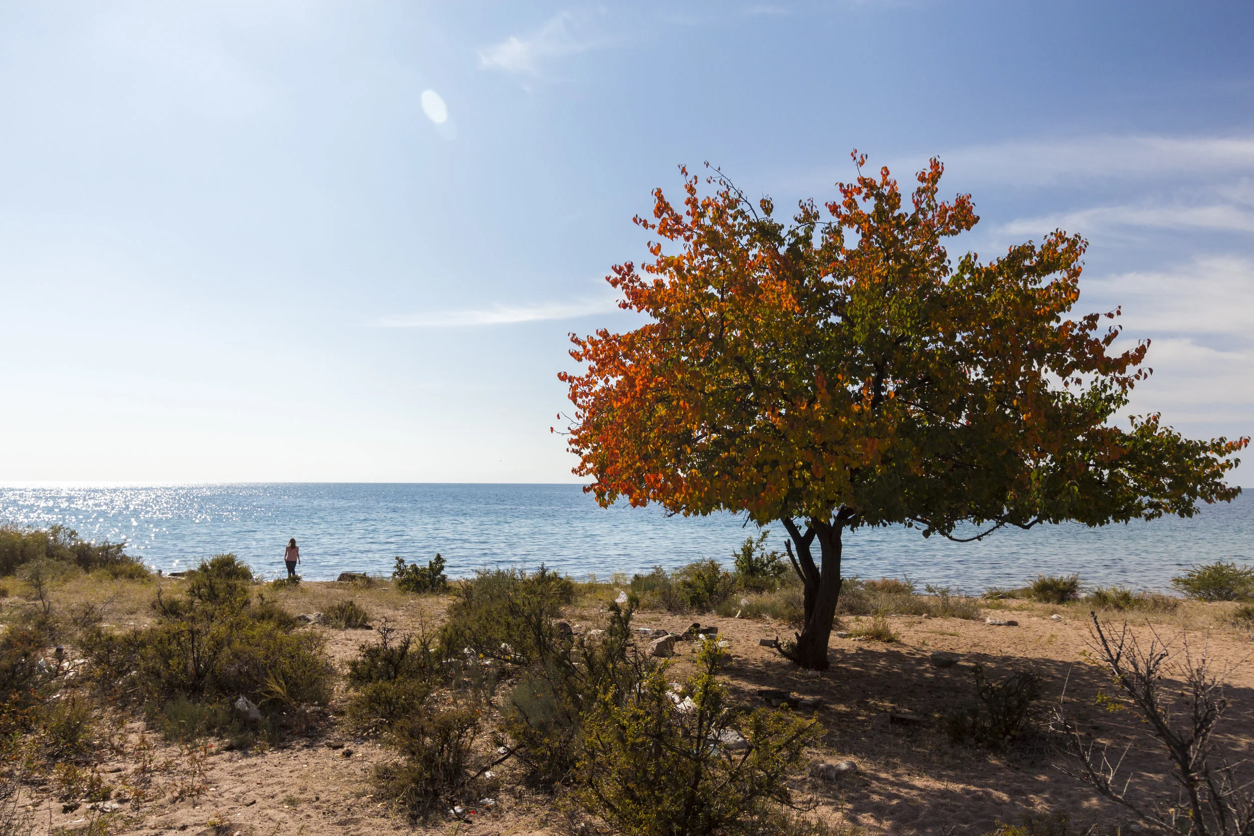 _MG_5641.jpg