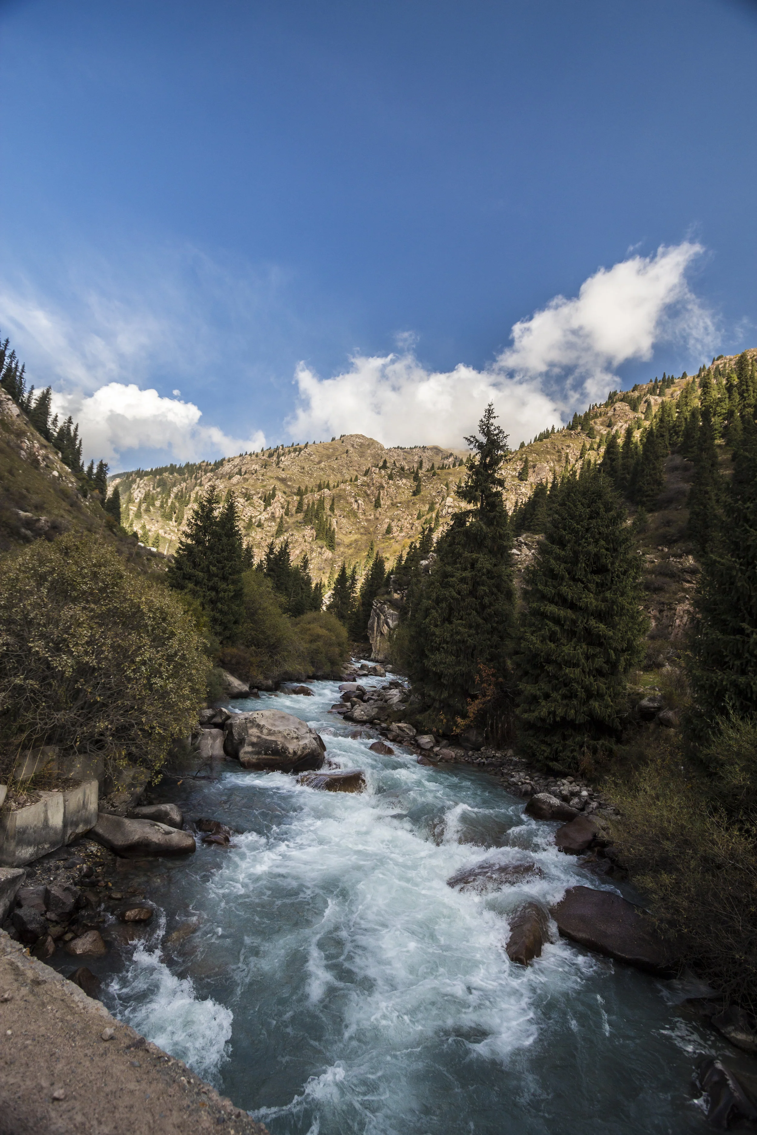 _MG_5752.jpg