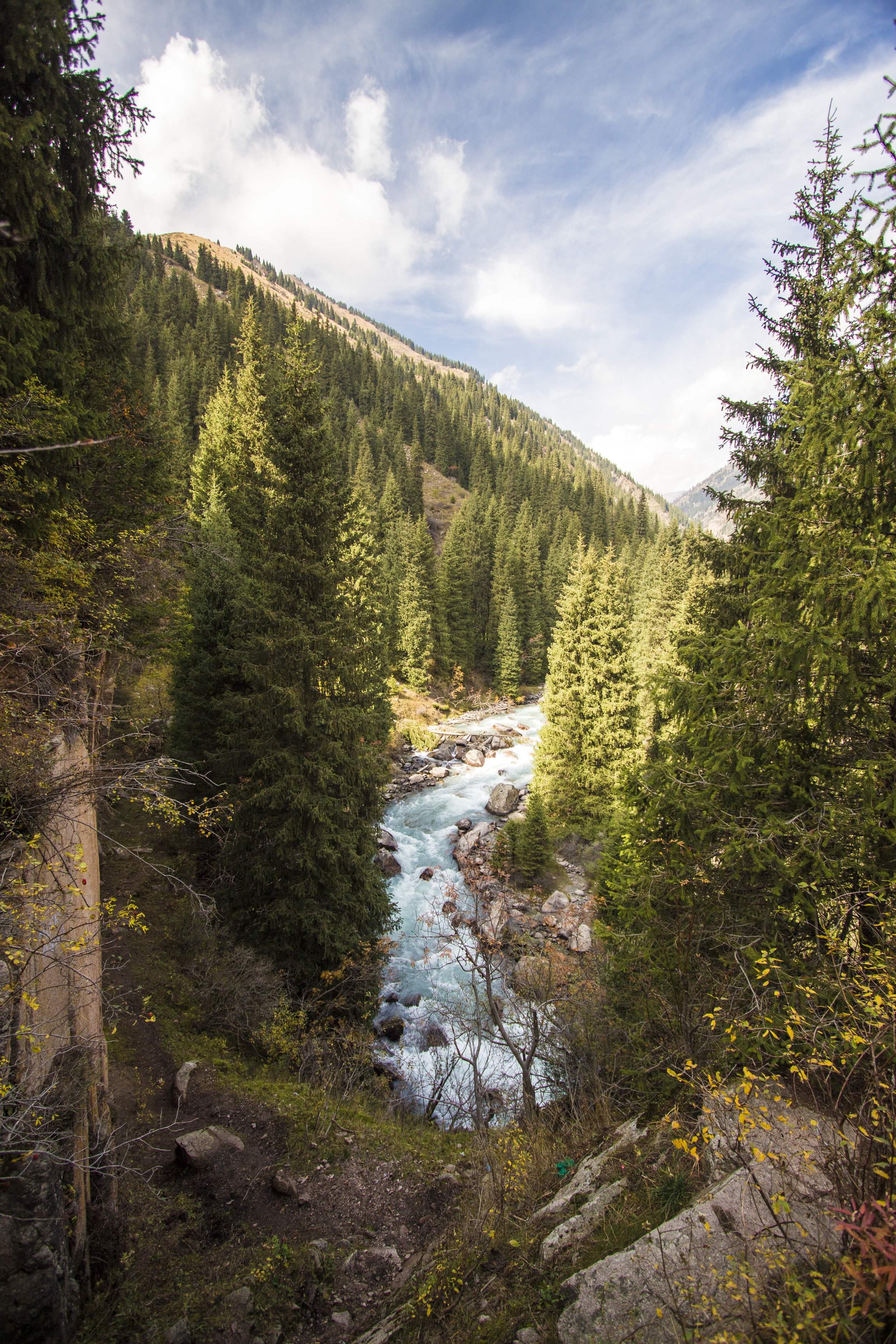 _MG_5774.jpg