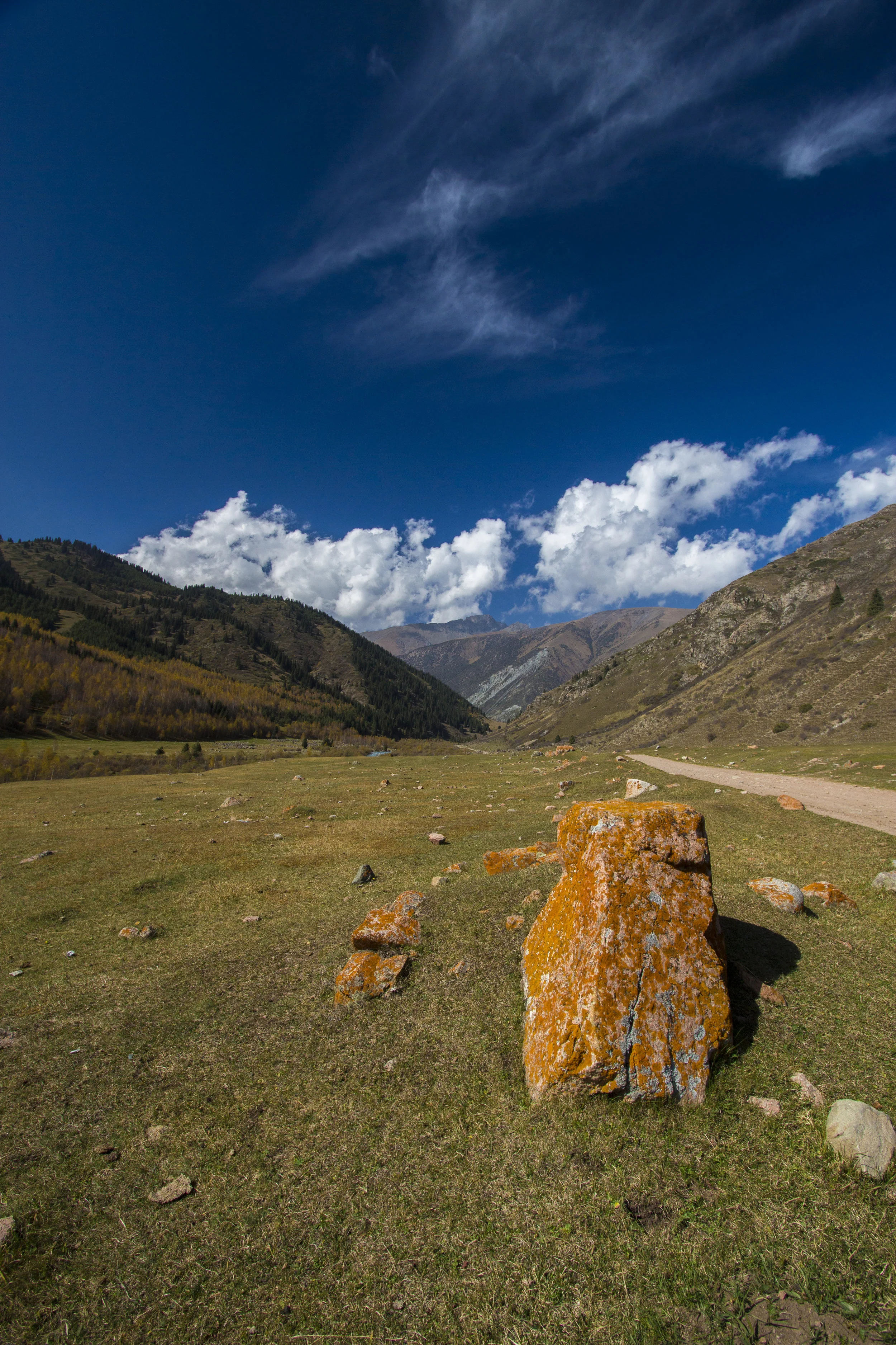 _MG_5862.jpg