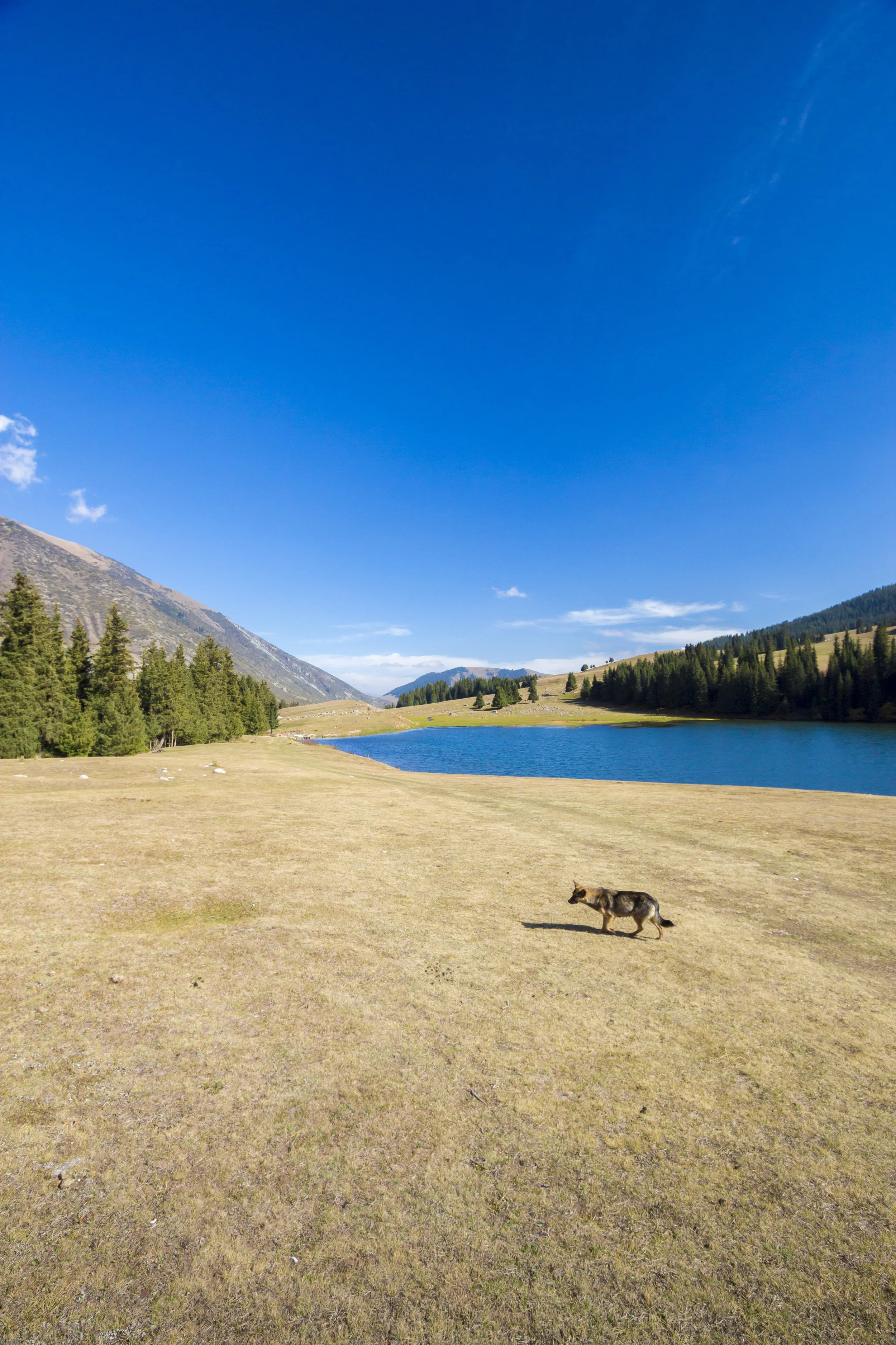 _MG_5951.jpg