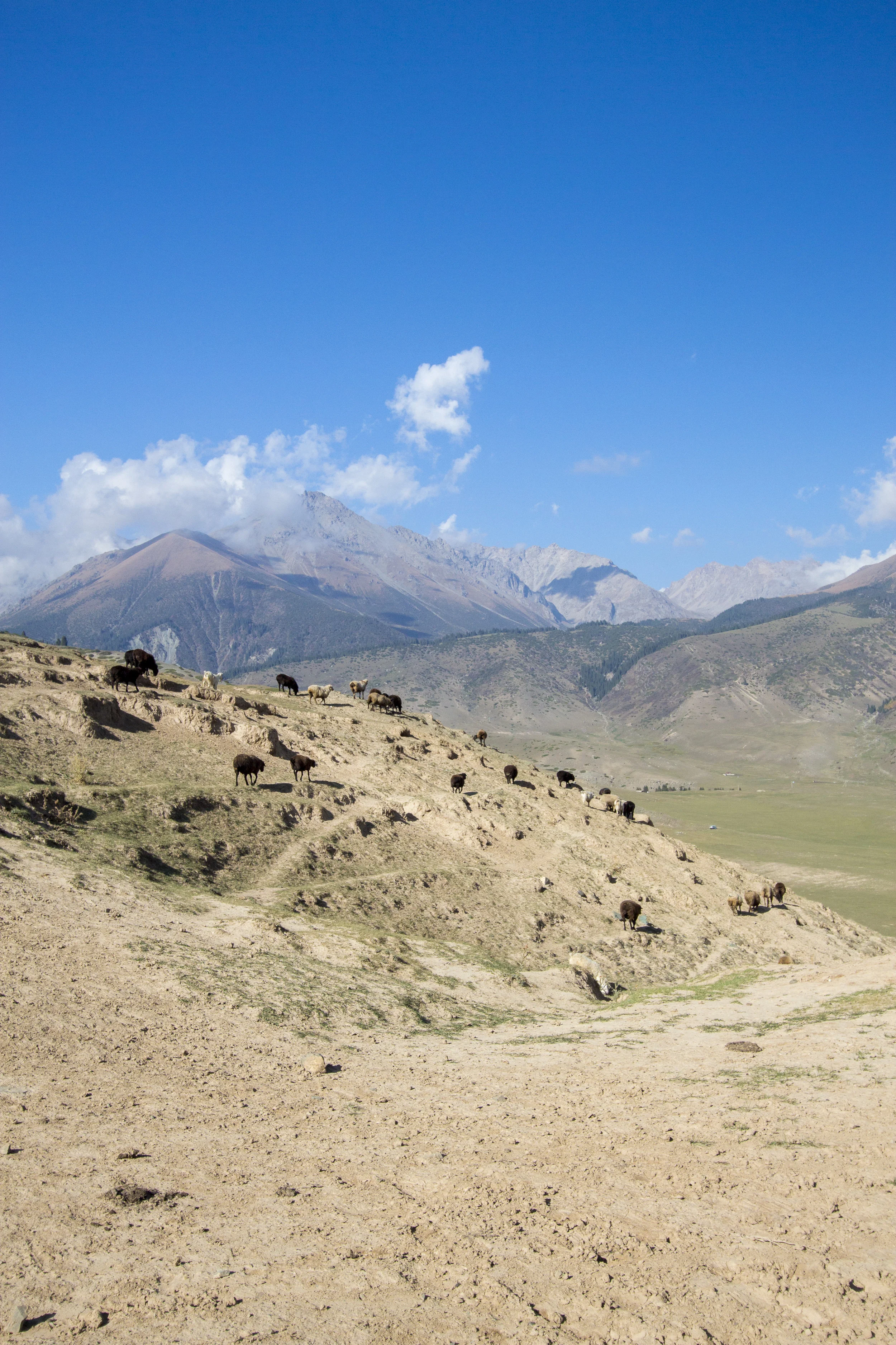 _MG_6051.jpg