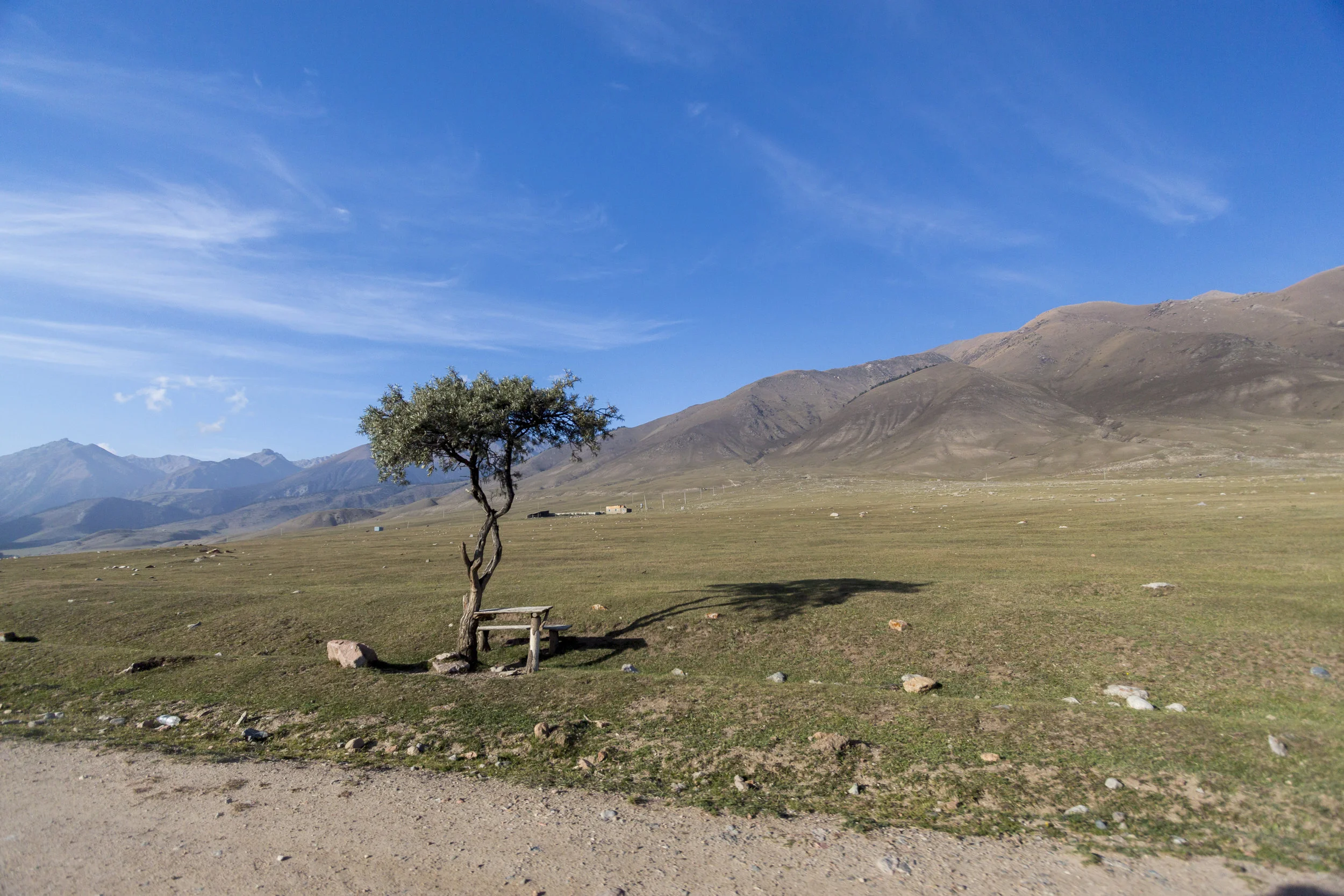 _MG_6114.jpg