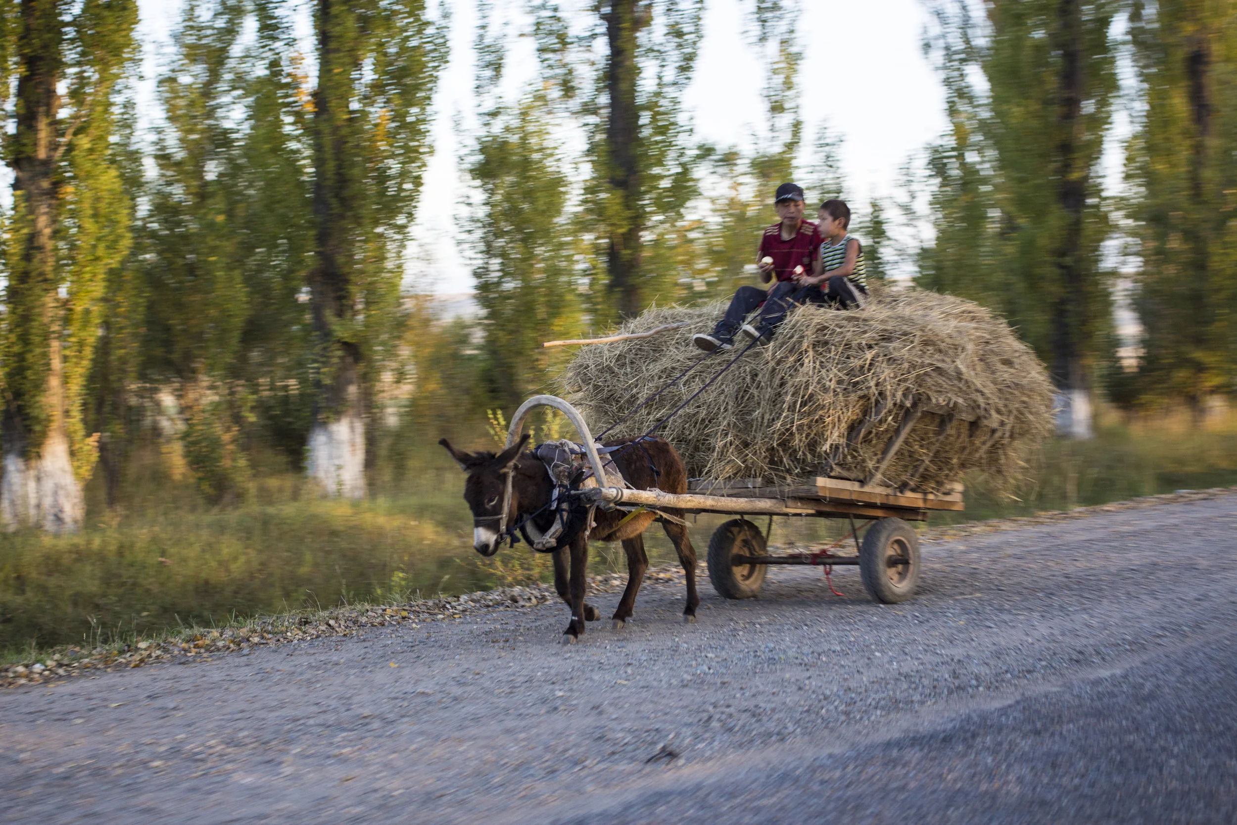_MG_6216.jpg