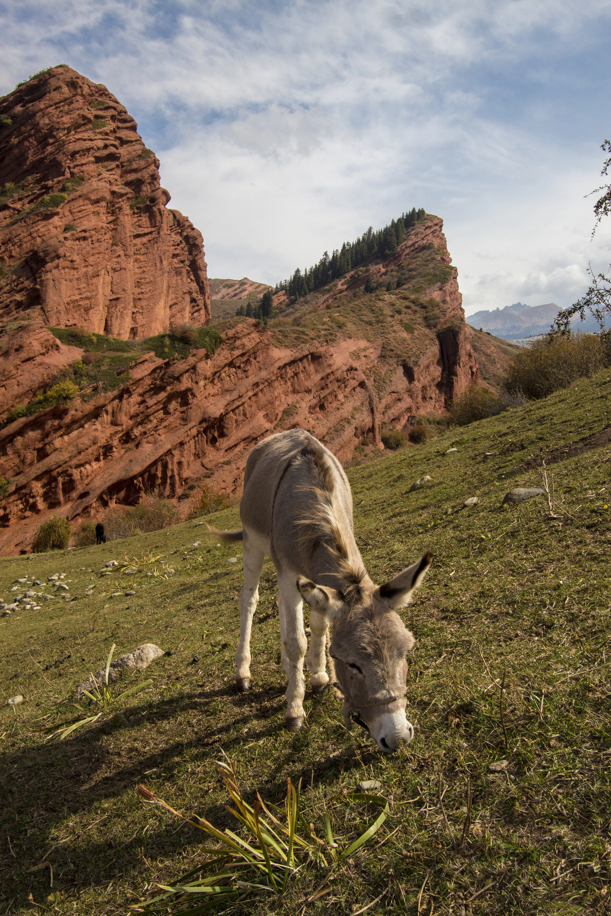 _MG_6400.jpg