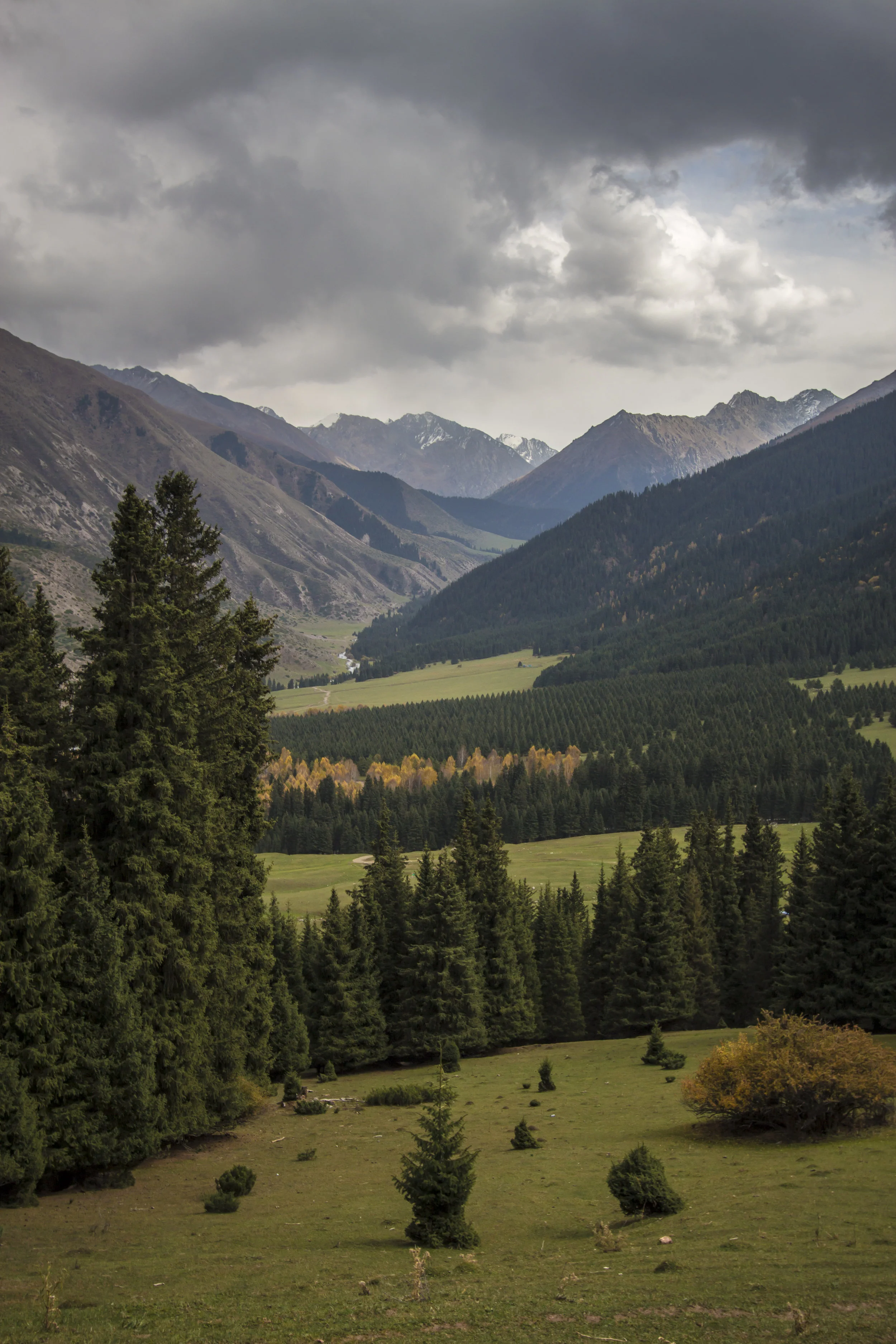 _MG_6442.jpg