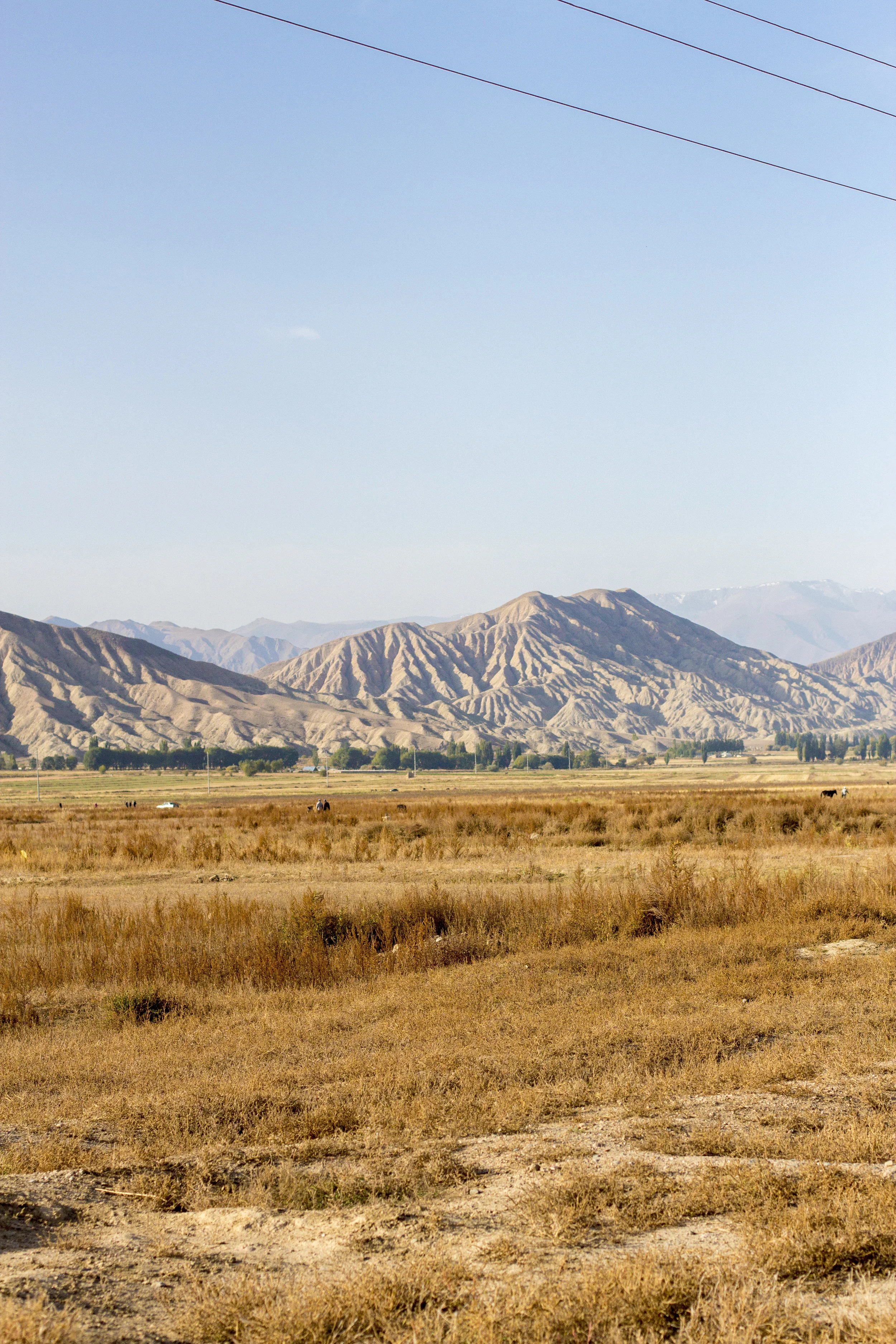 _MG_6956.jpg