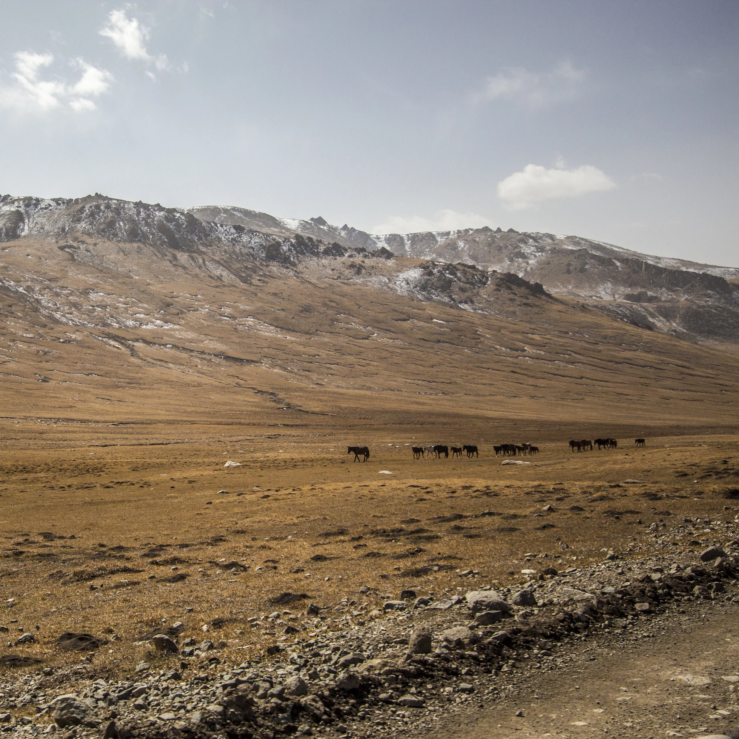 _MG_7154.jpg