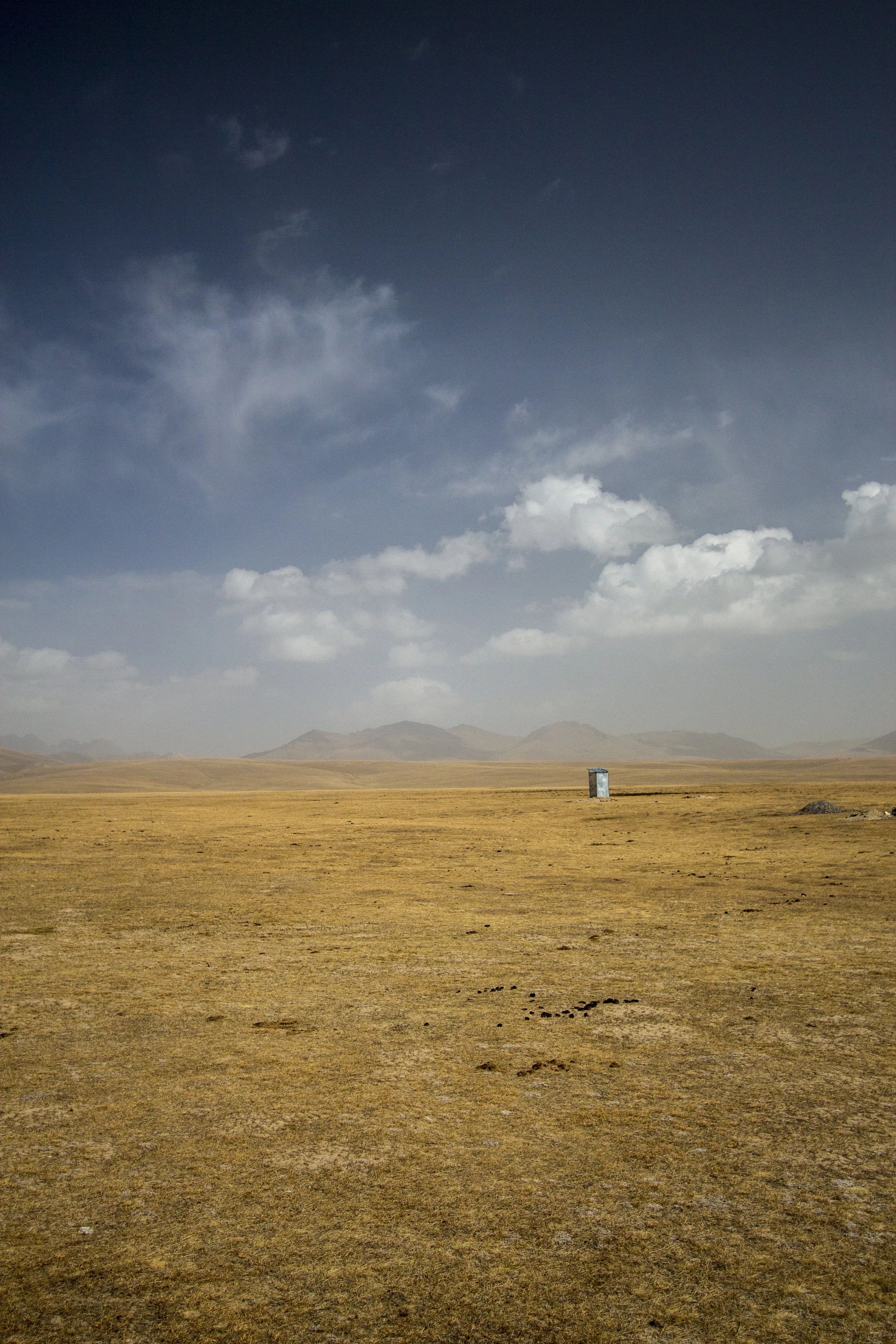 _MG_7232.jpg