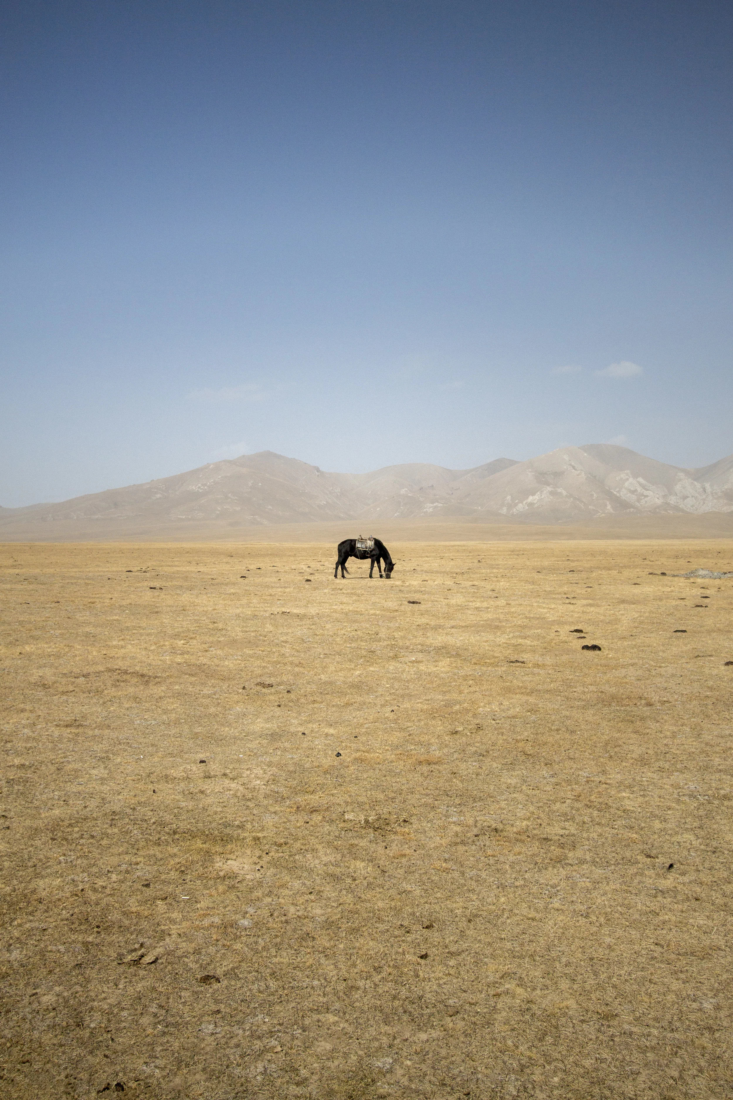 _MG_7253.jpg