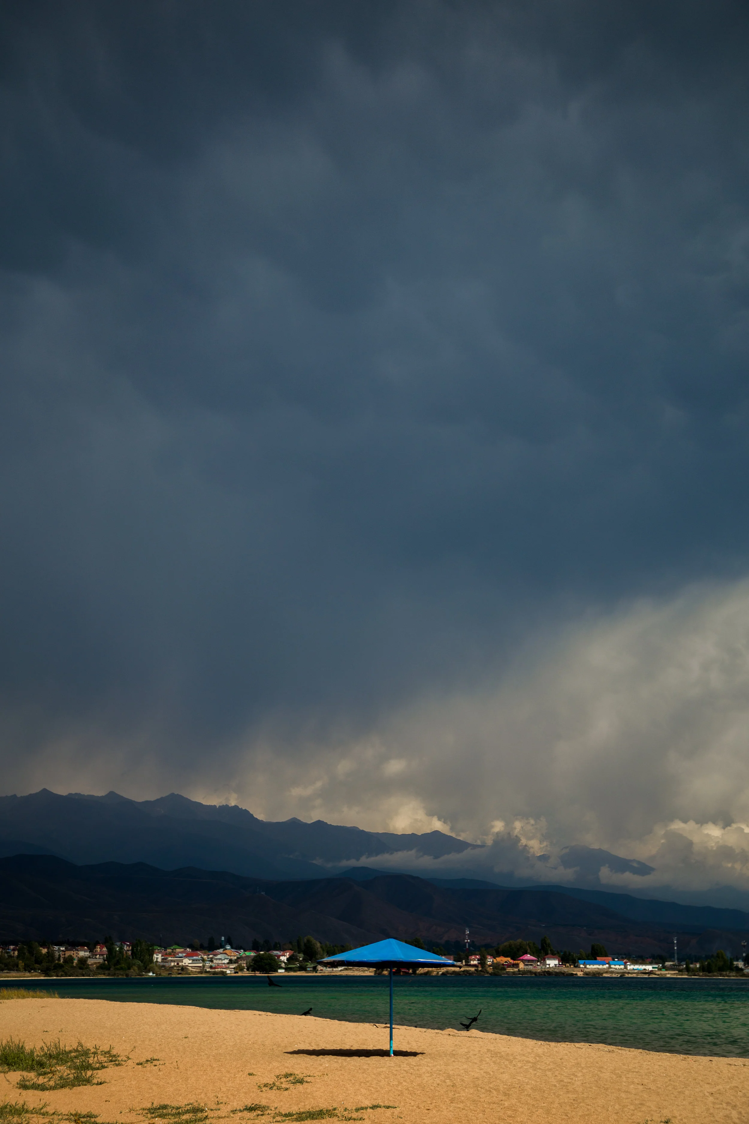 _MG_8751.jpg