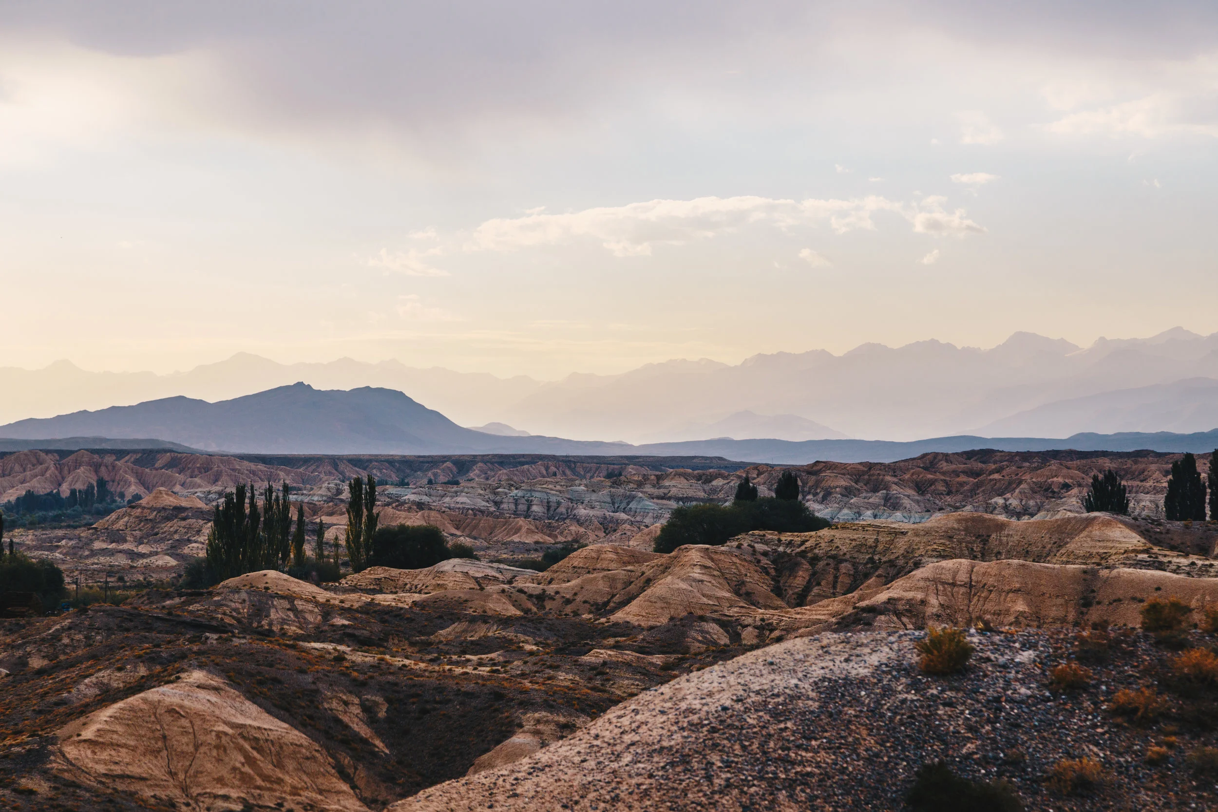 _MG_8983.jpg