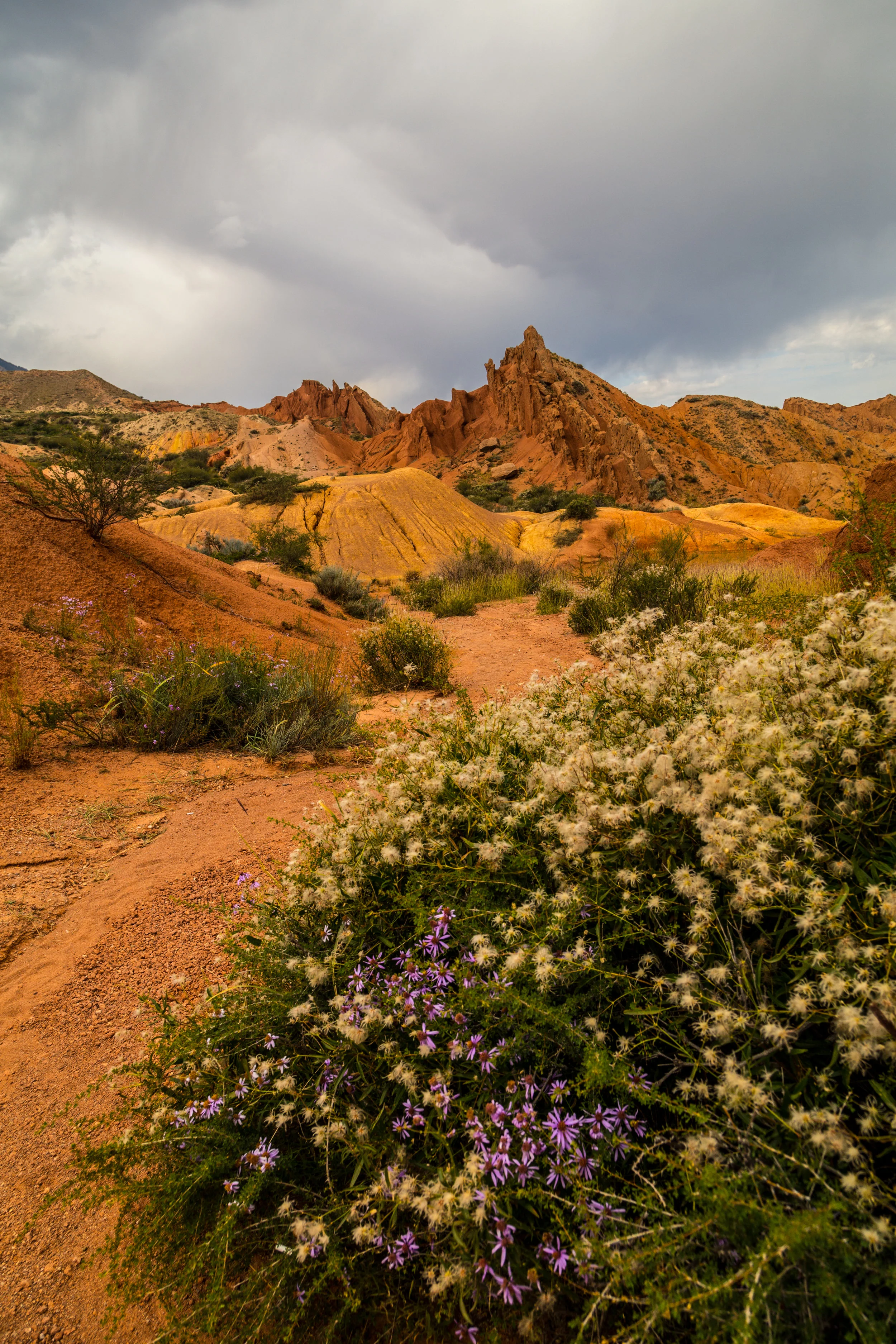 _MG_9048.jpg