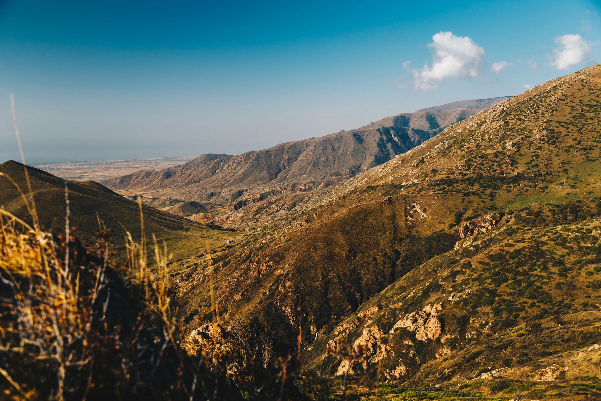_MG_9672.jpg